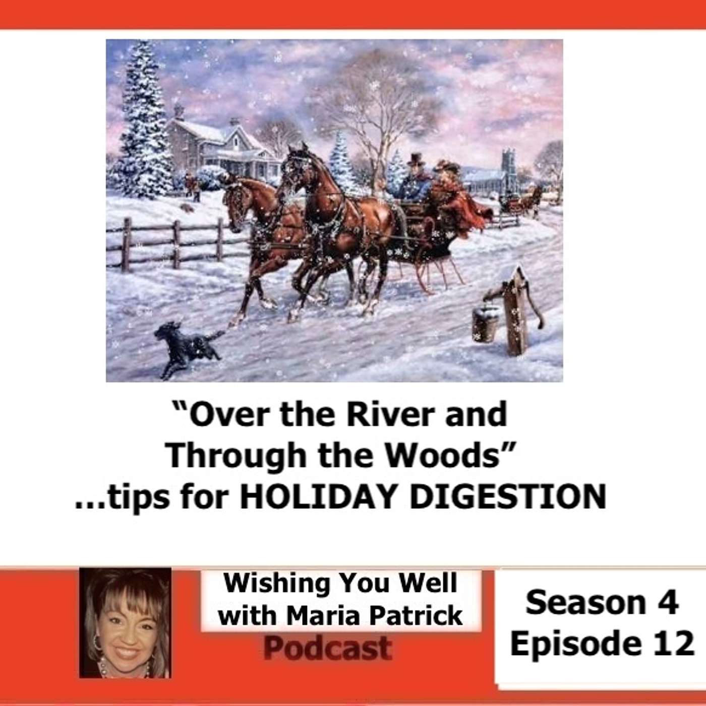 "Over the River and Through the Woods"...tips for HOLIDAY DIGESTION
