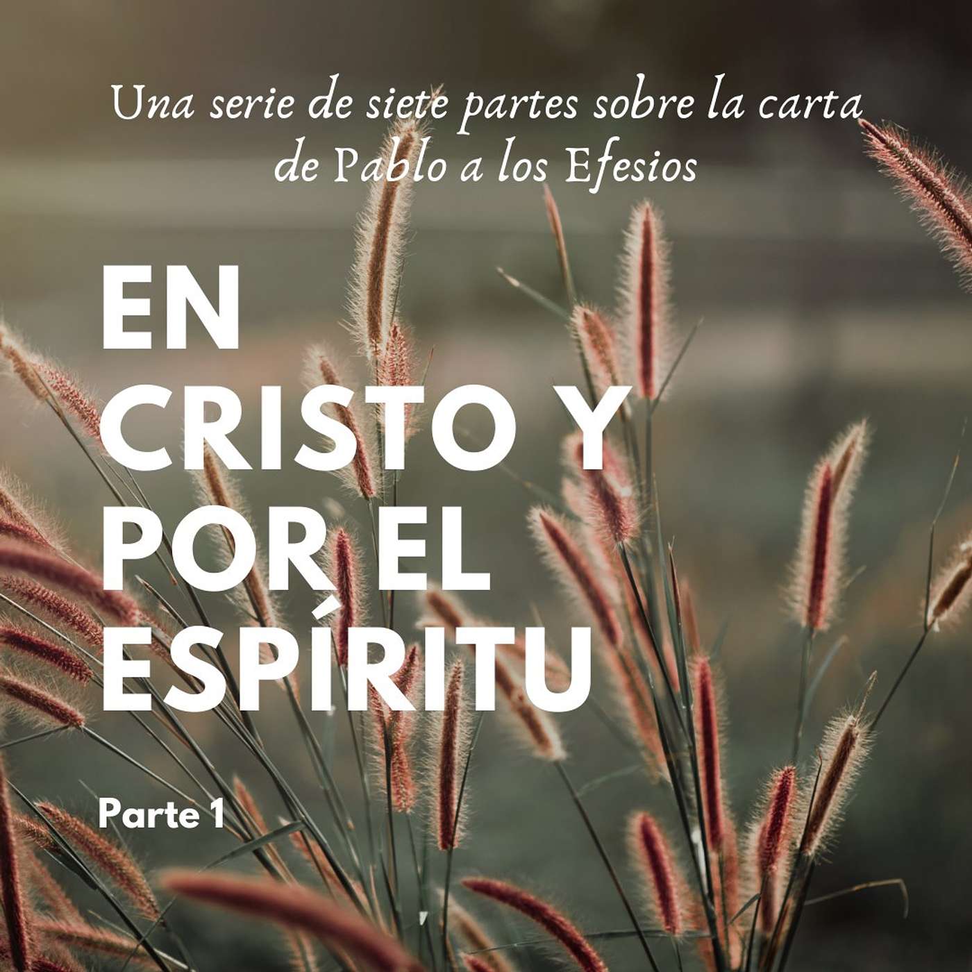 En Cristo y por el Espíritu