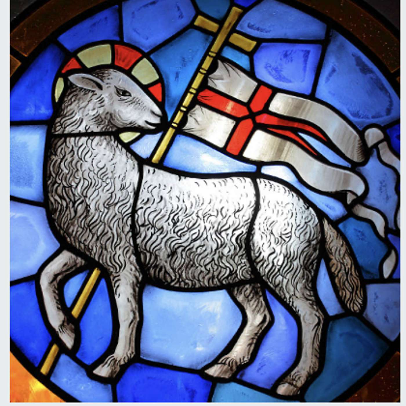 Homily for the 4th Sunday of Easter, B.