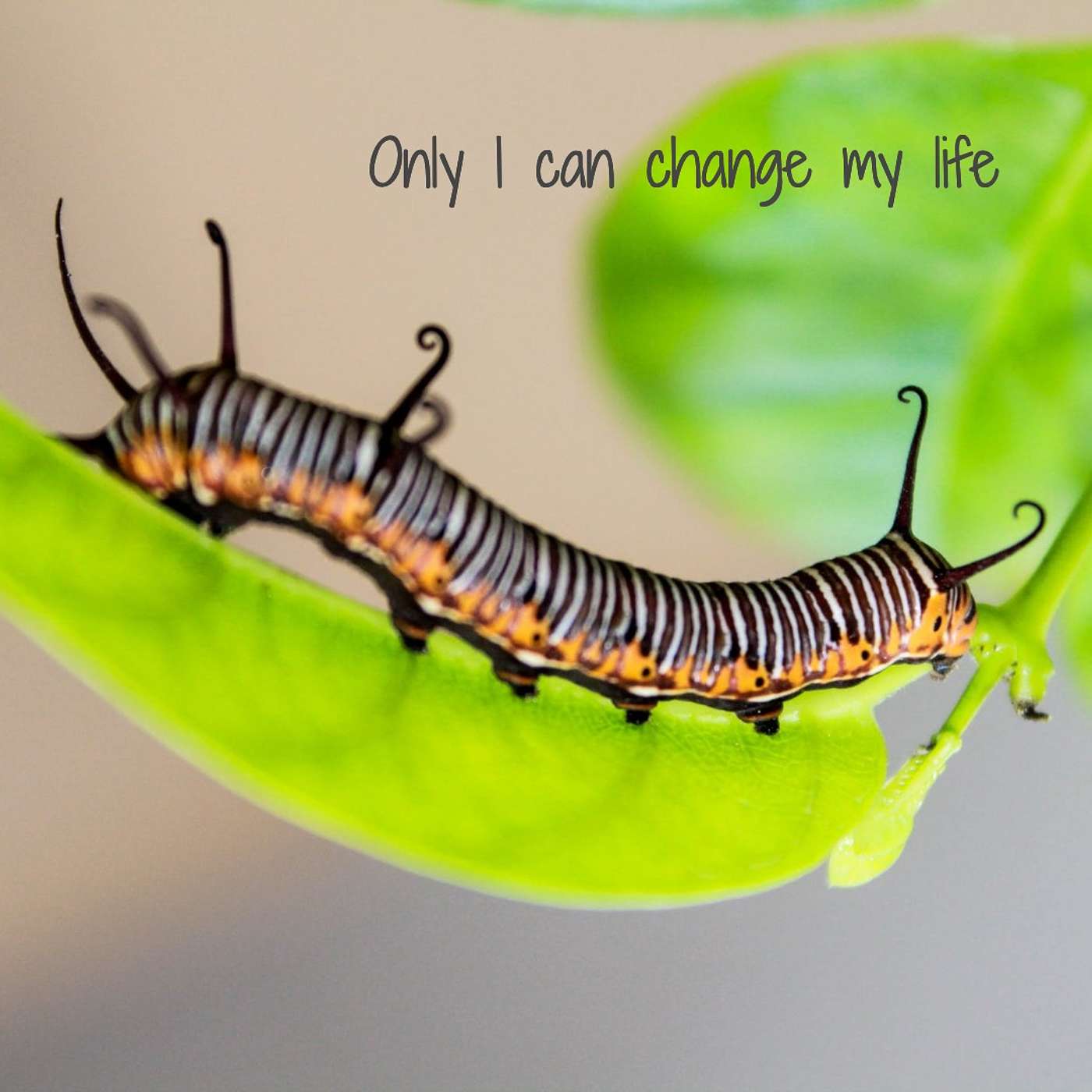 #228 Only I can change my life episode artwork