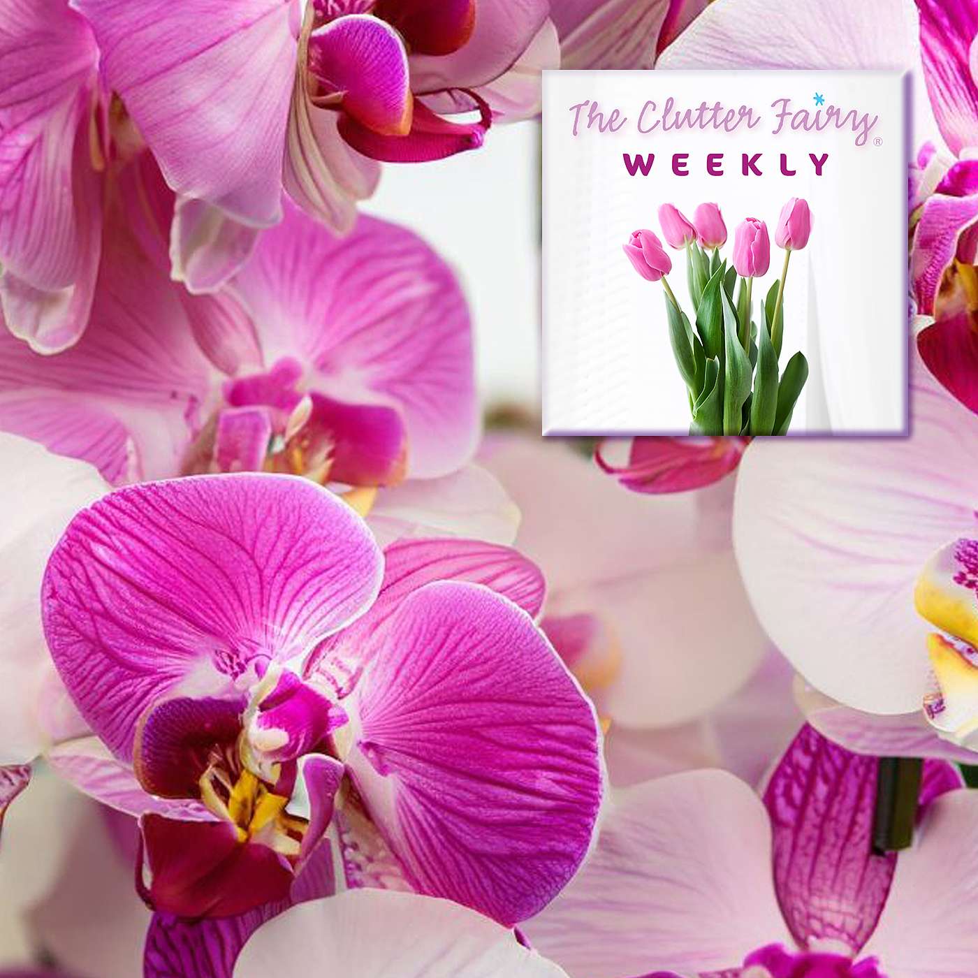 The Clutter Fairy Weekly