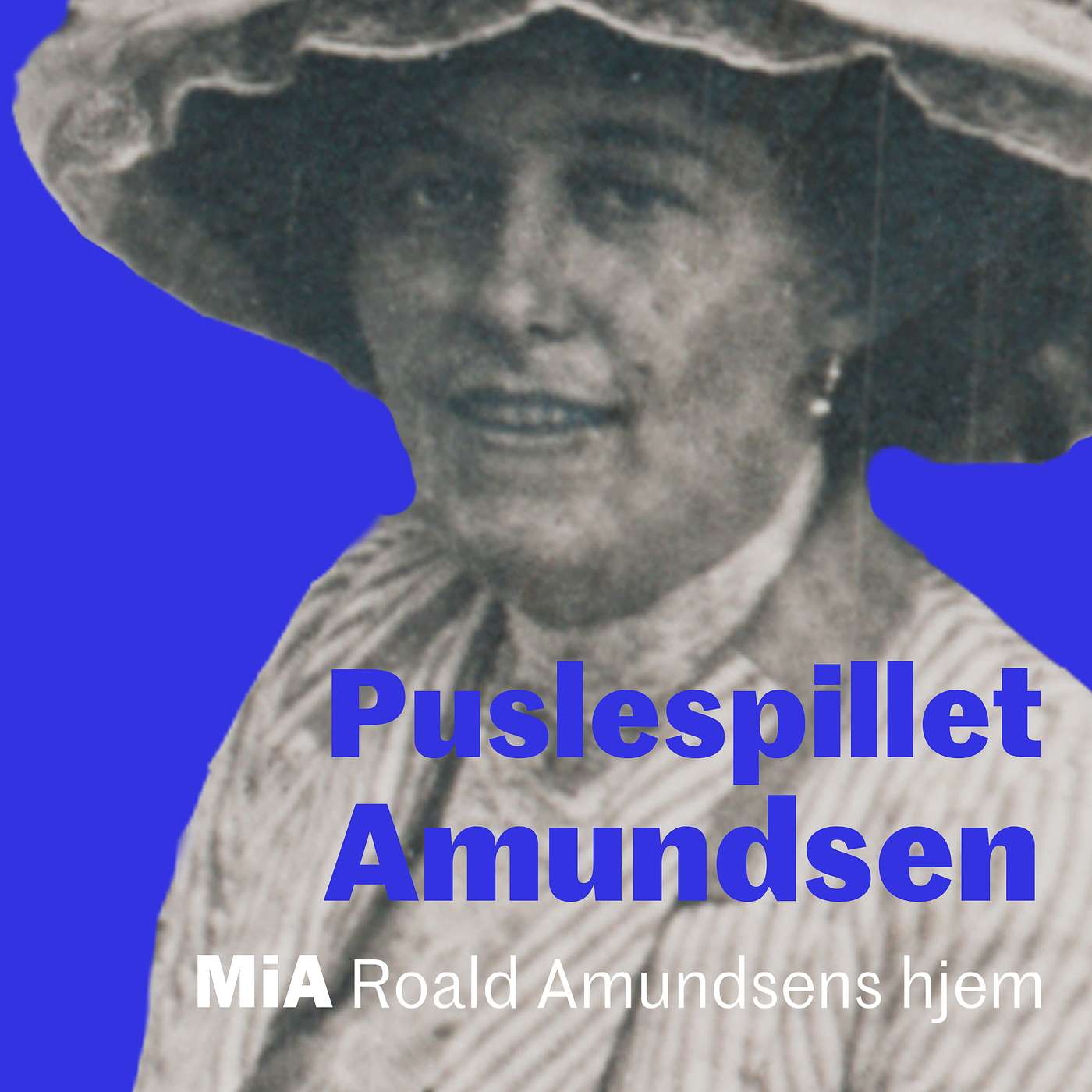 Puslespillet Amundsen
