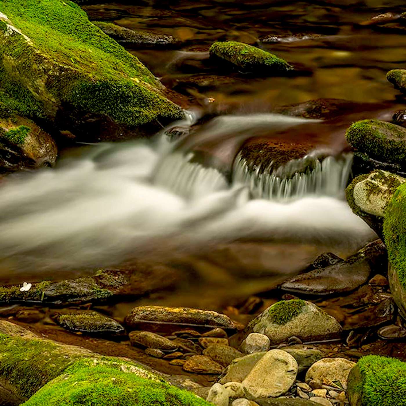 The Wisdom Of Strong Emotions The Wisdom Of Strong Emotions