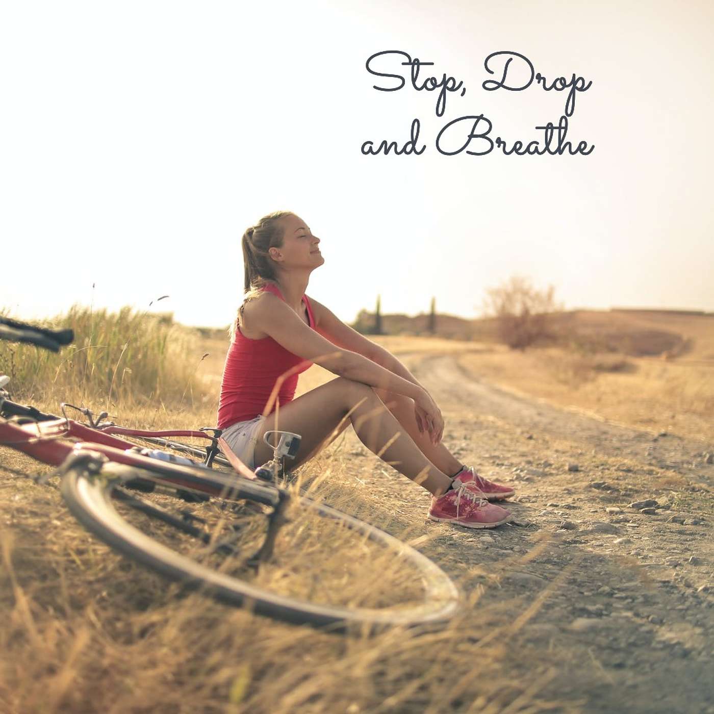 #1 Stop. drop and breathe episode artwork