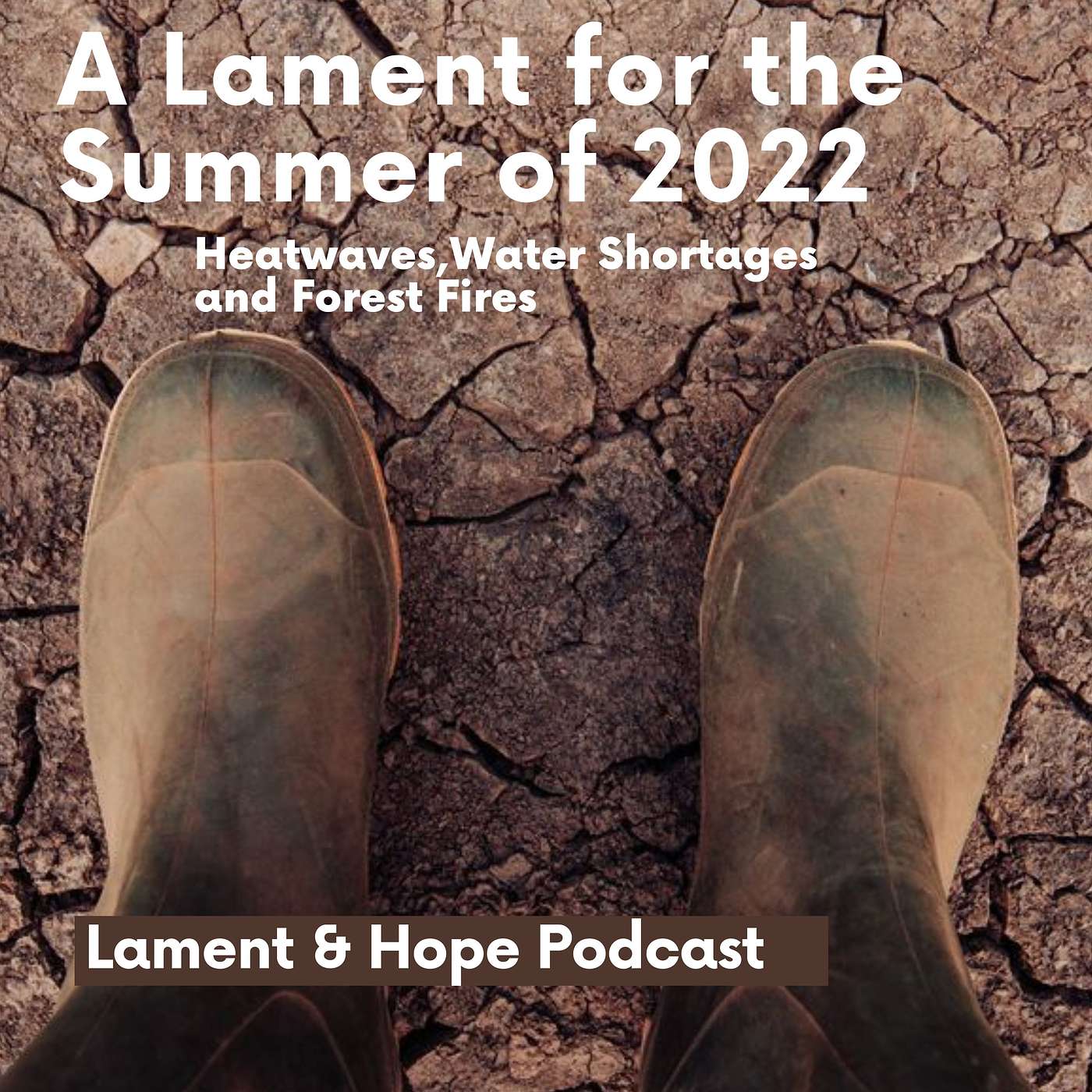 A Lament for the Summer of 2022: Heatwaves, Water Shortages and Forest Fires episode artwork