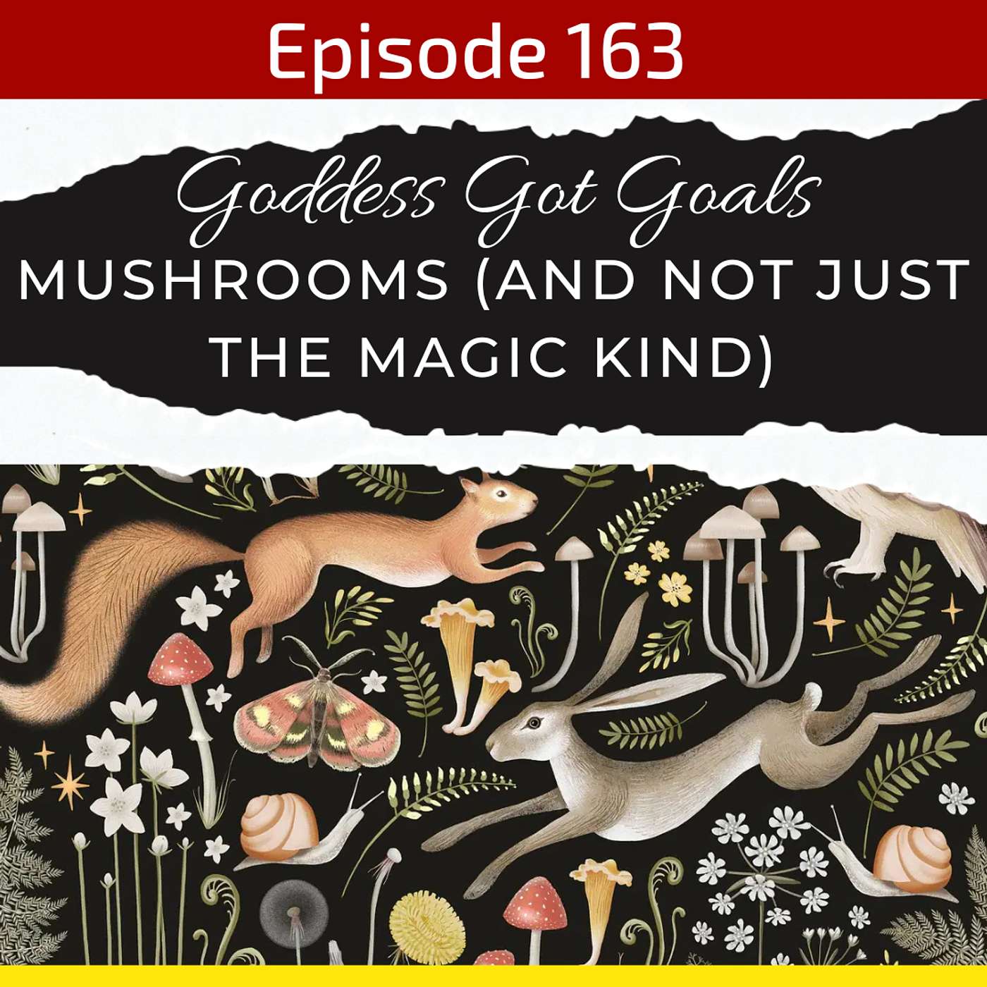 163: Mushrooms (and Not Just the Magic Kind)