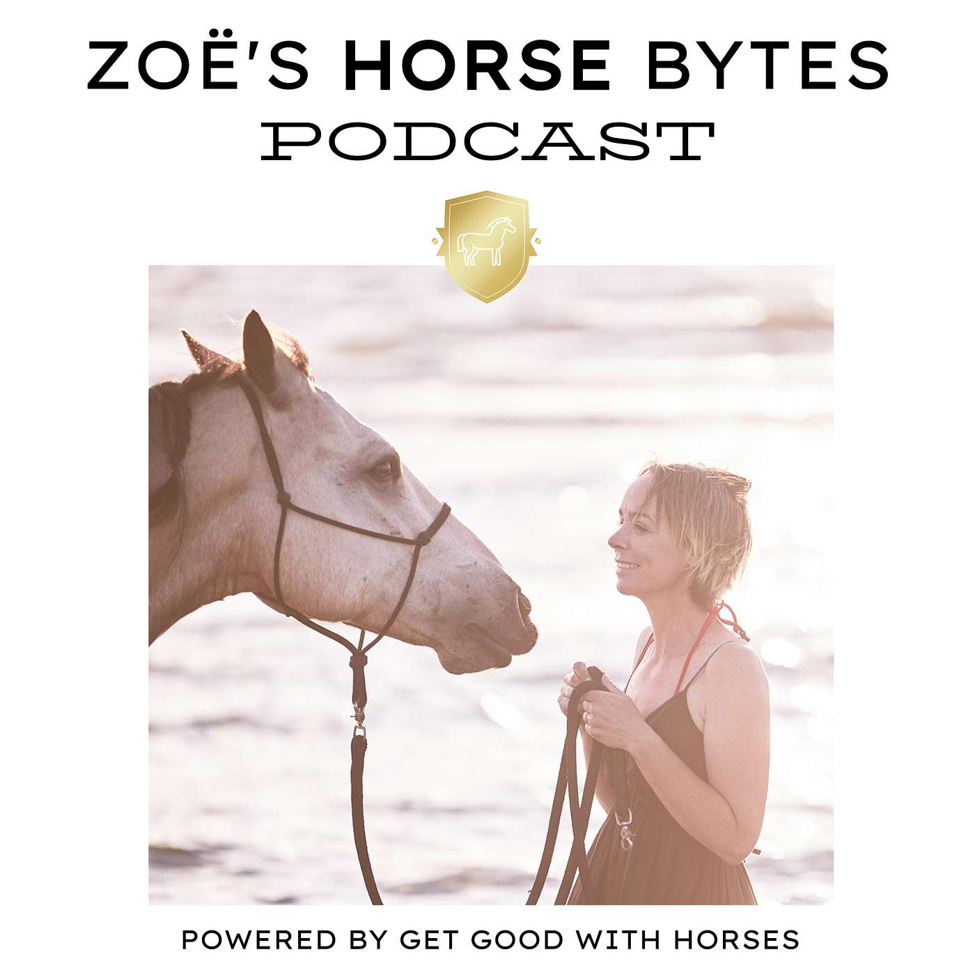 17. Mindset around horses episode artwork