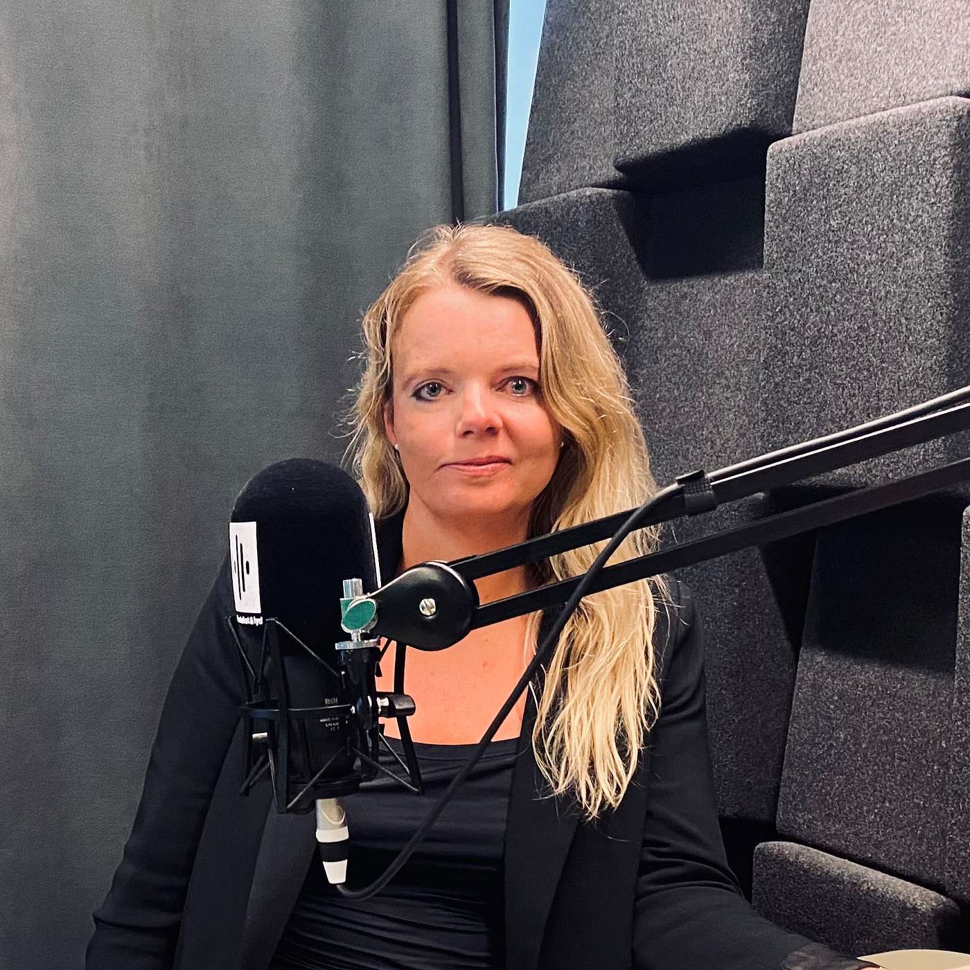 Adgang til afgørende viden