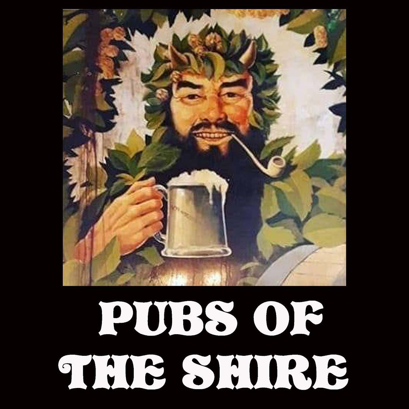 Pubs of the Shire