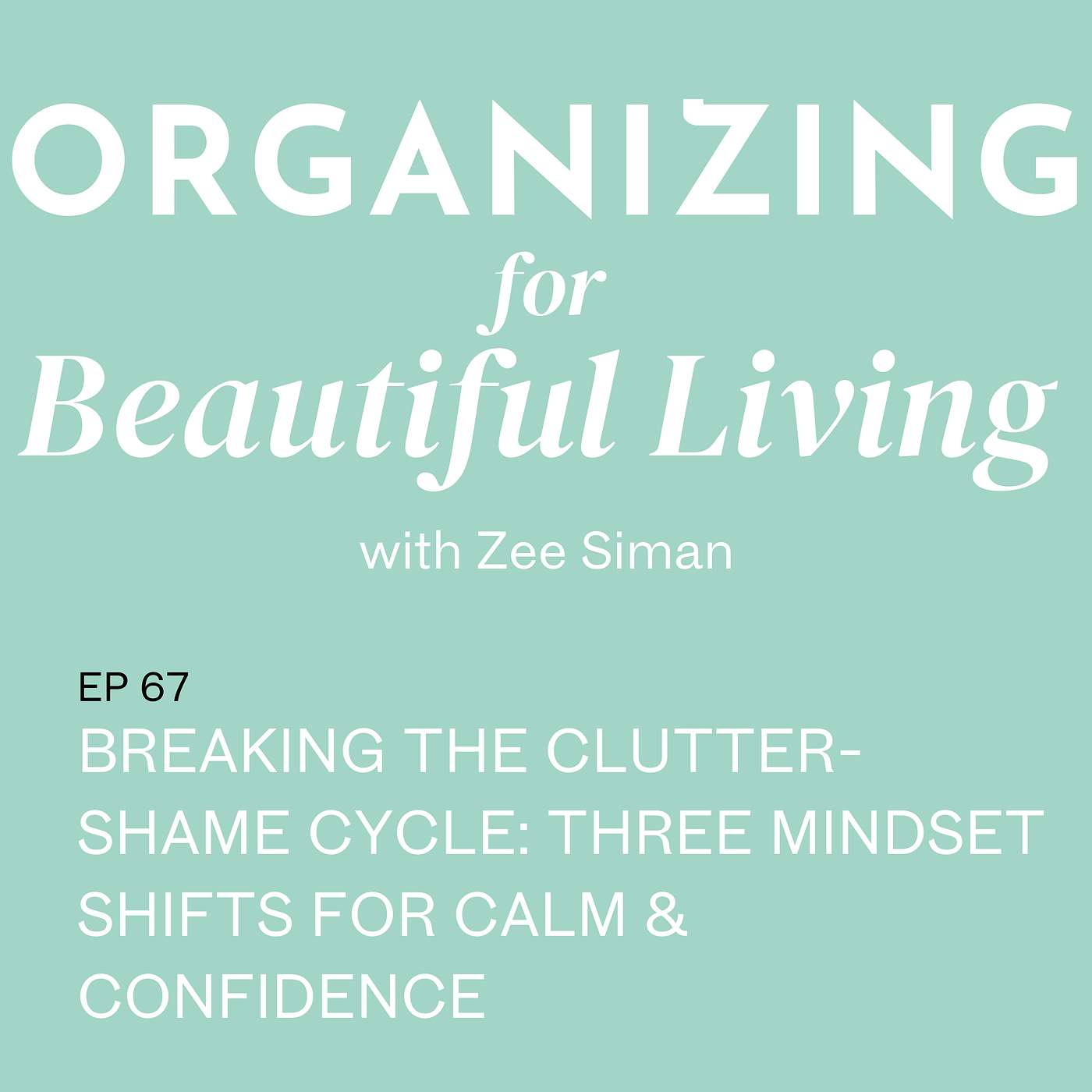067. Breaking the Clutter-Shame Cycle: Three Mindset Shifts for Calm & Confidence