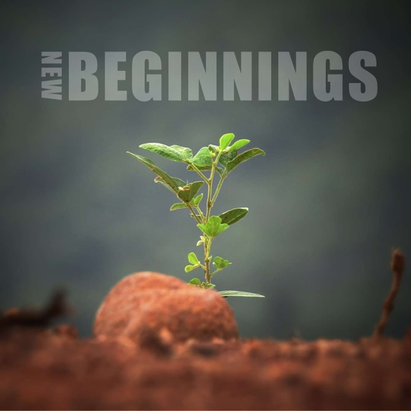 New Beginnings, The Life of Moses: Moving Forward