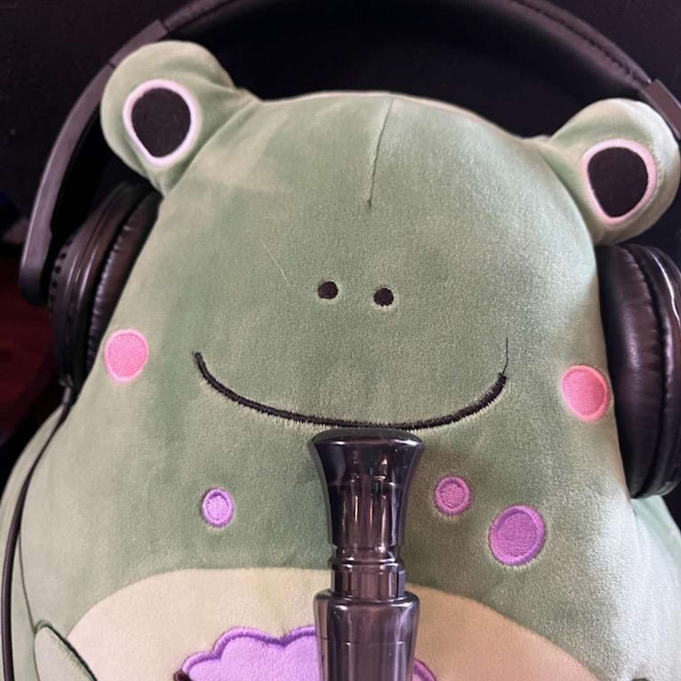 Really A Frog!
