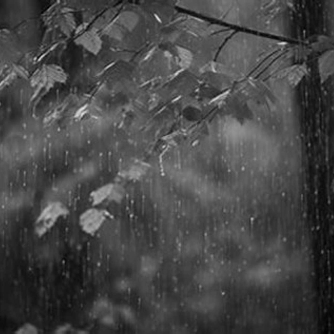 Weird Stories; If Fog Could Sing