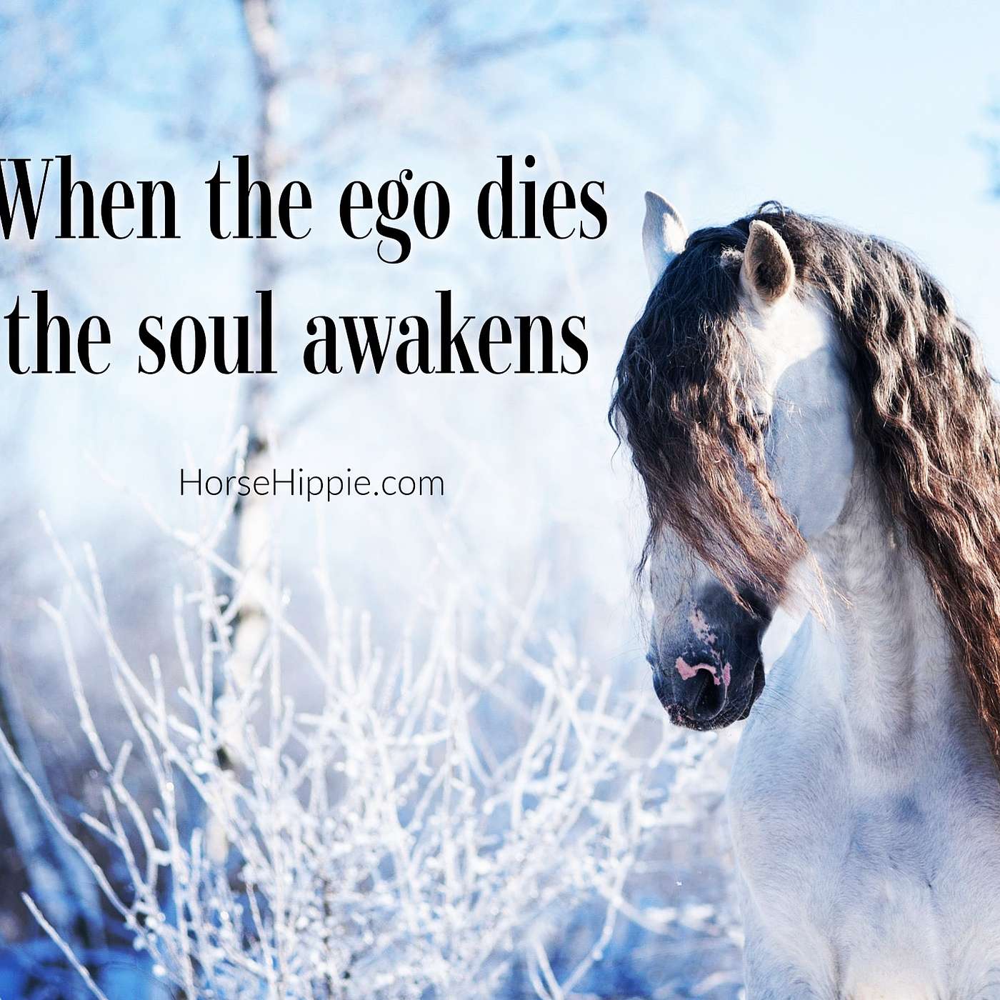 Soul Awakening