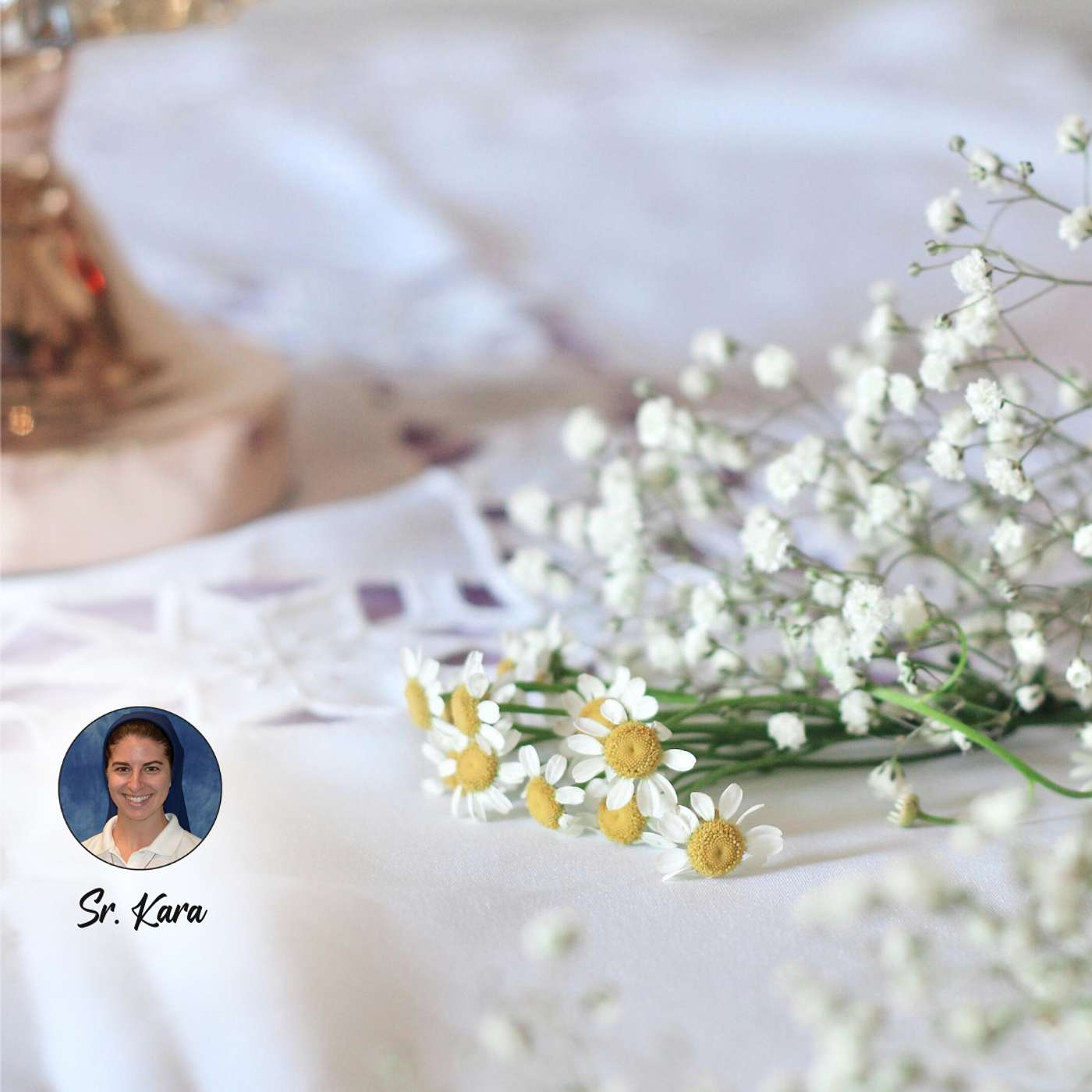 September 24 - Cleaning the White Tablecloth