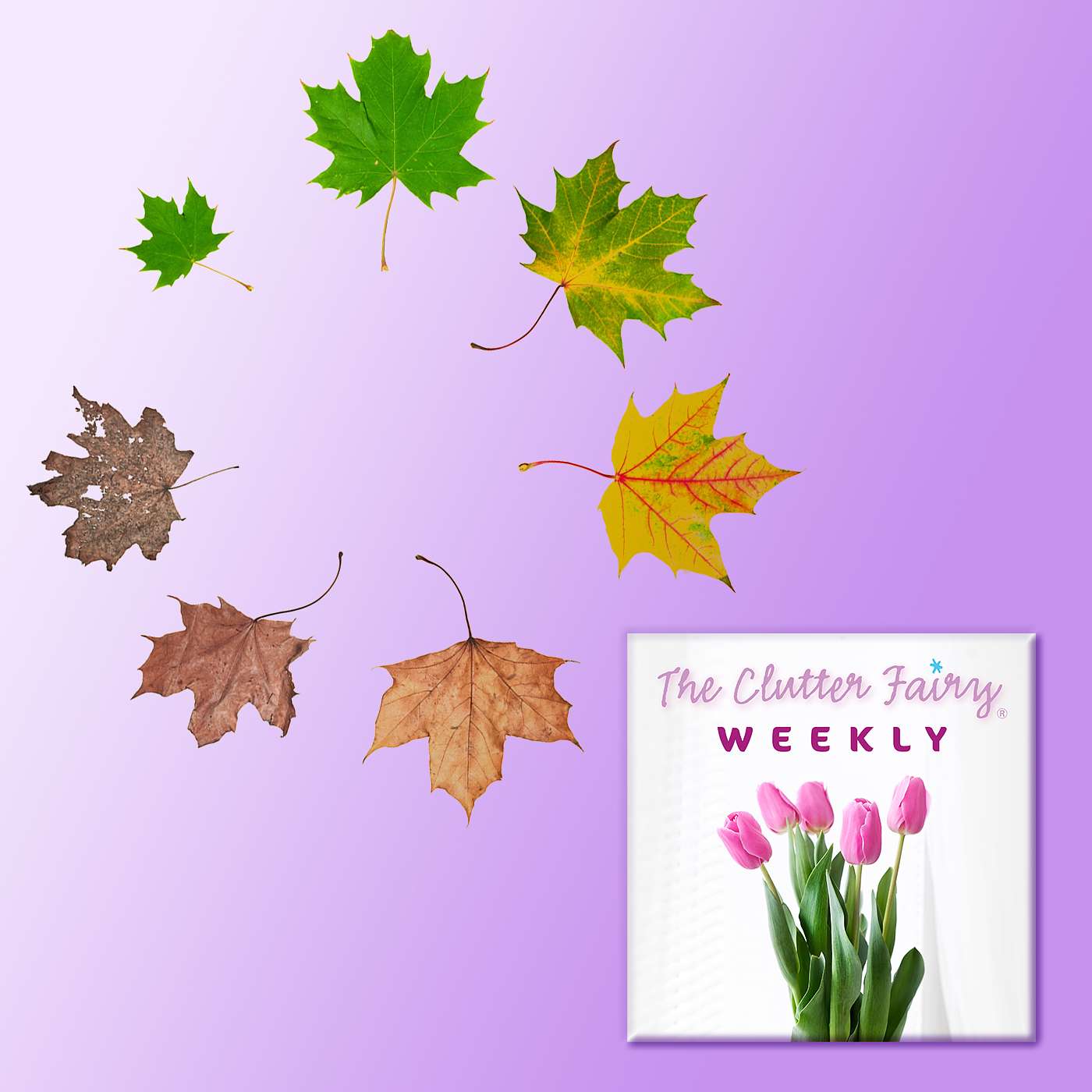The Clutter Fairy Weekly #6 – The clutter life-cycle | Book review: Swedish death cleaning | Packrat heritage