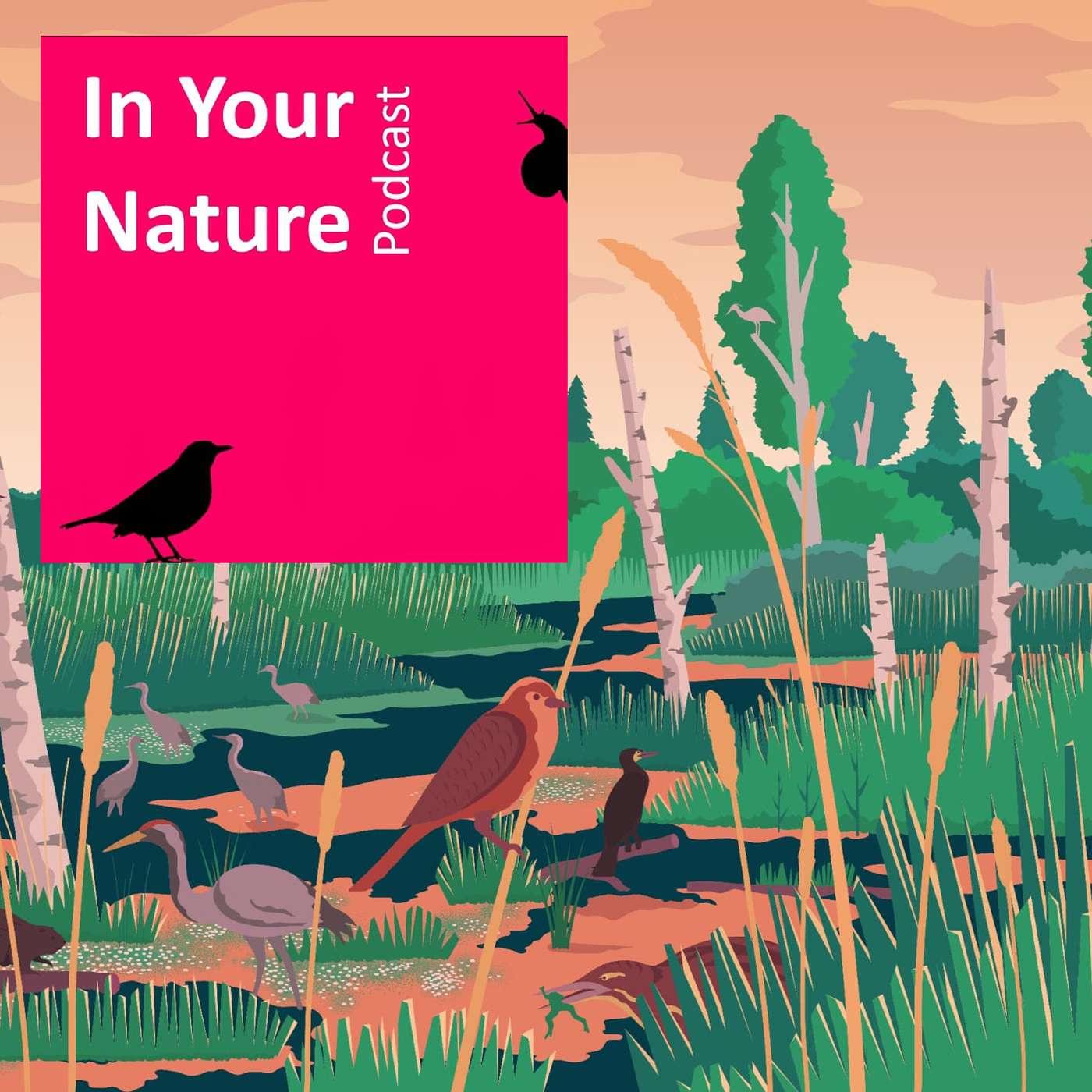 In Your Nature Ep 64 - Pádraic Fogarty