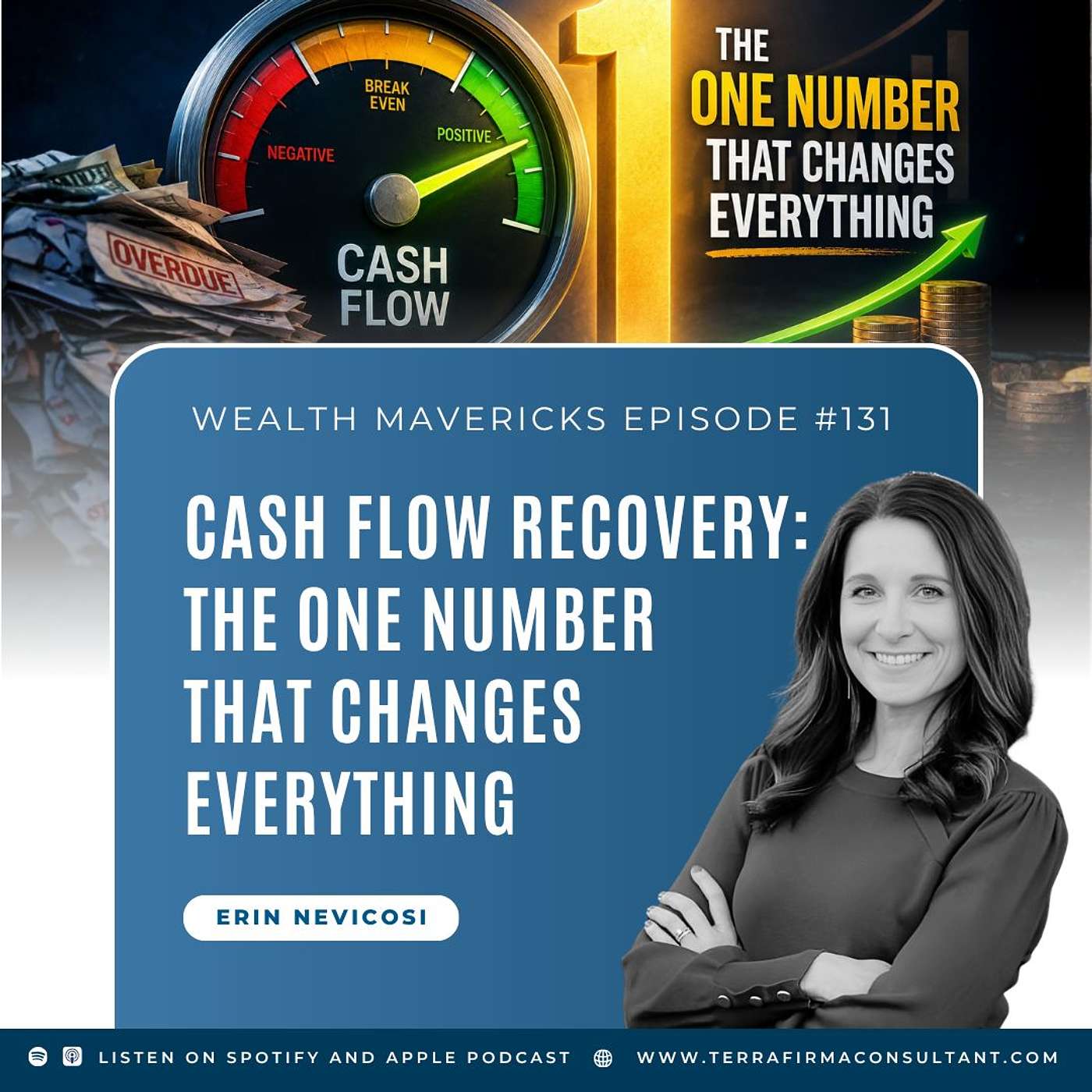Cash Flow Recovery: The One Number That Changes Everything episode artwork