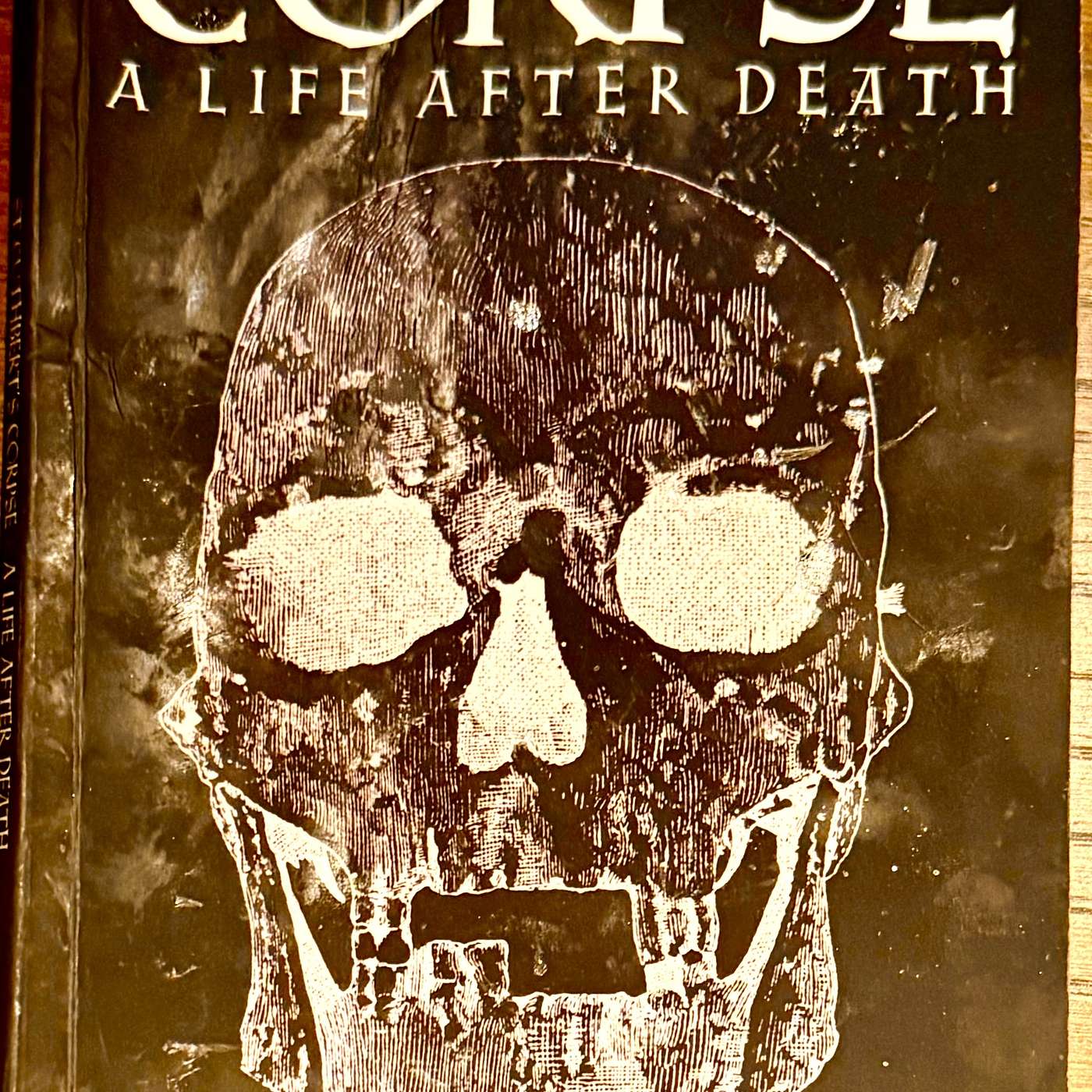 Durham II: An Hour with writer David Willem; and Barnaby Rudge Chapter X