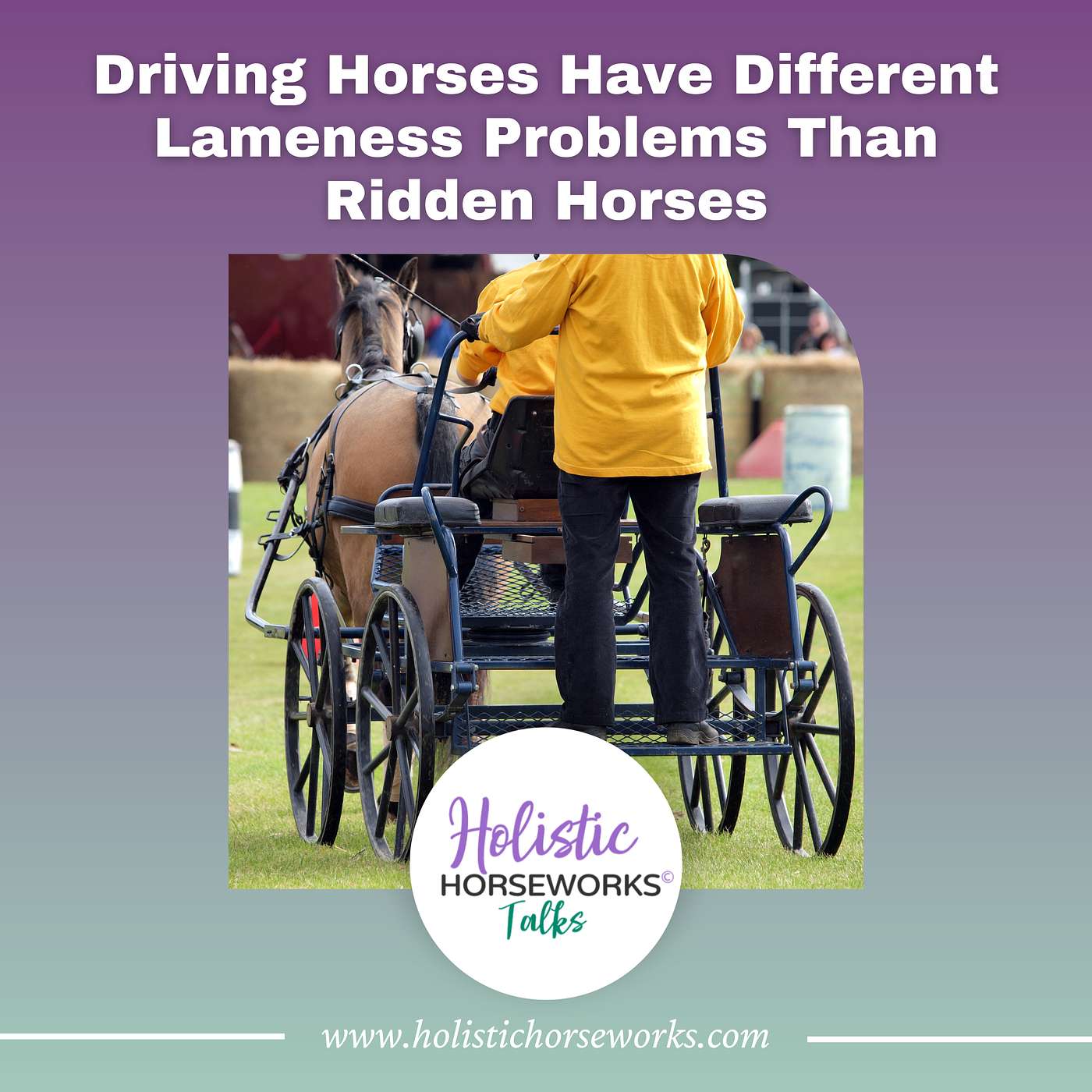 Holistic Horseworks Talks with April Love