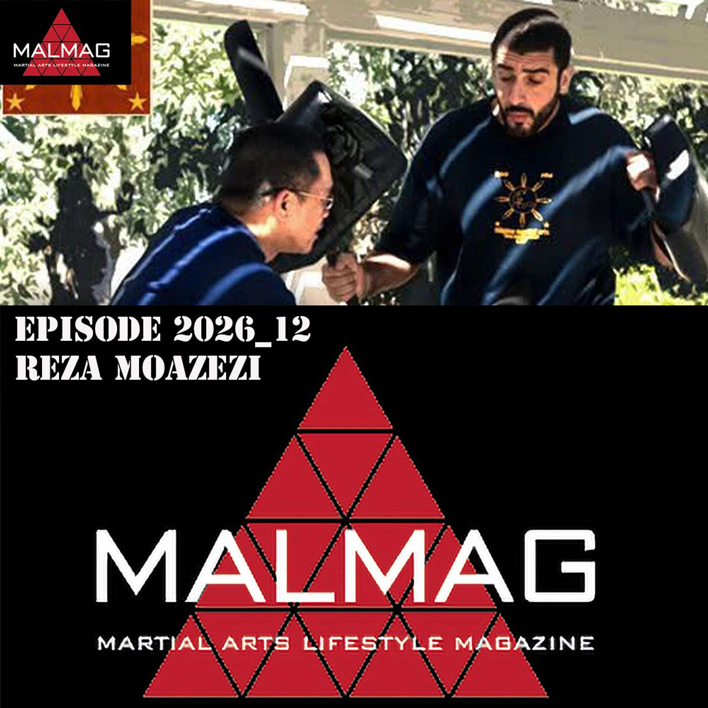 The Martial Arts Lifestyle Podcast