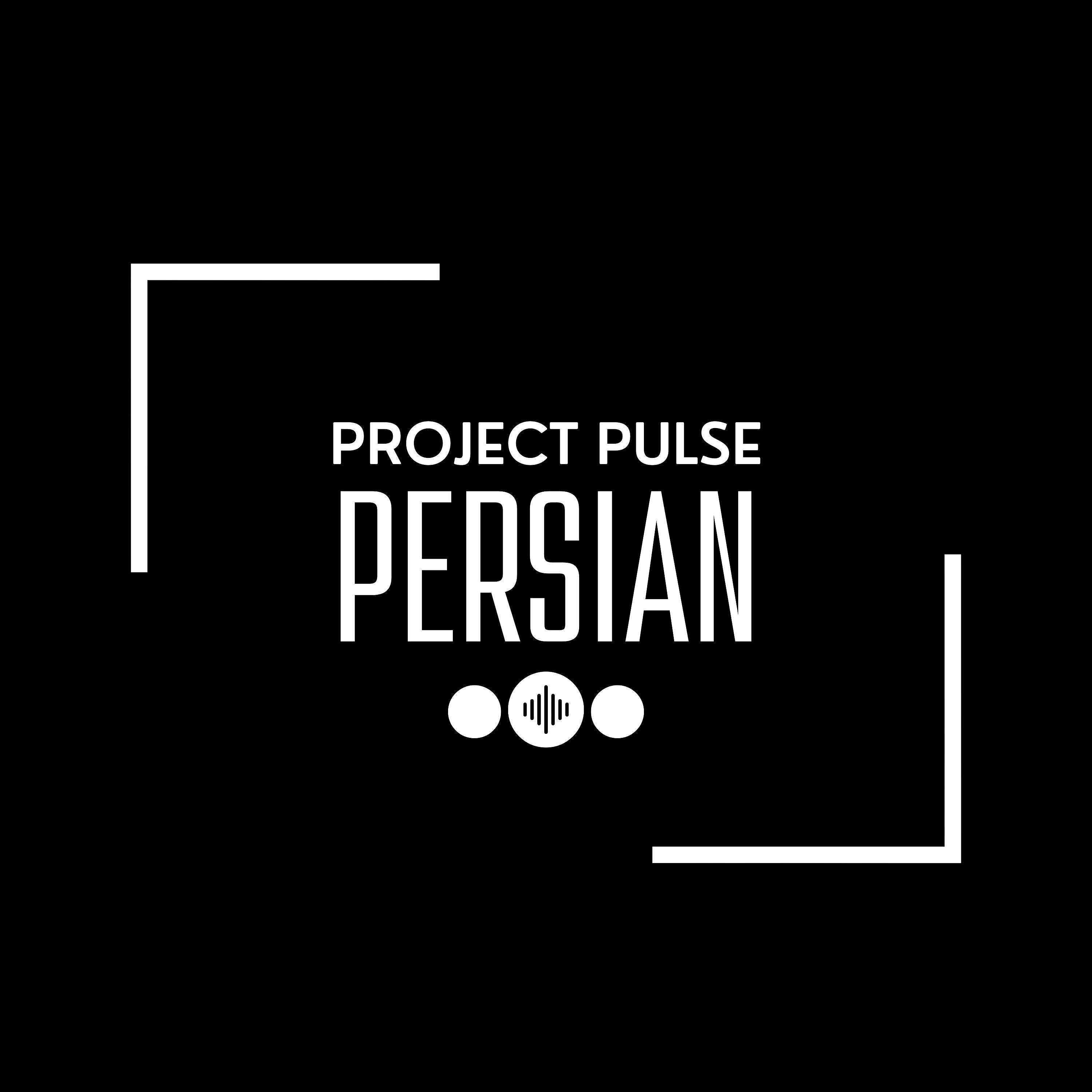 Project Pulse (Persian) cover art