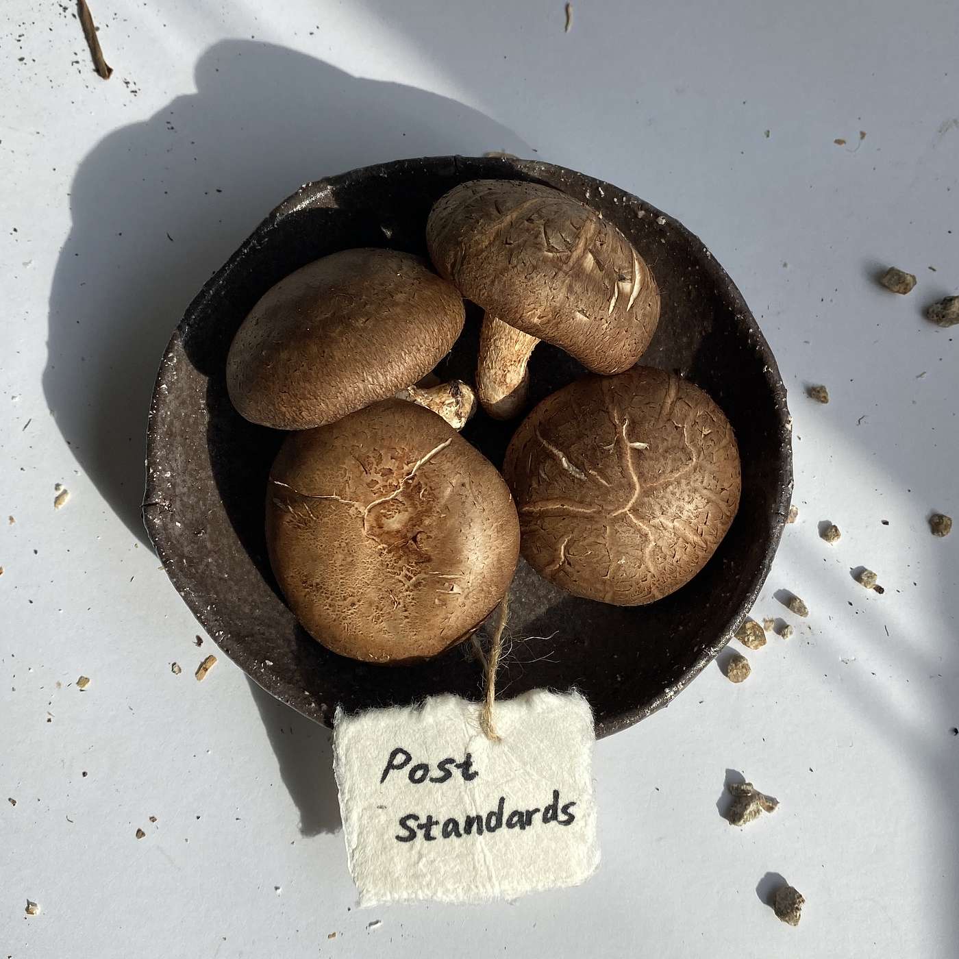 The State of Flow 물아일체의 경지 The State of Flow 물아일체의 경지