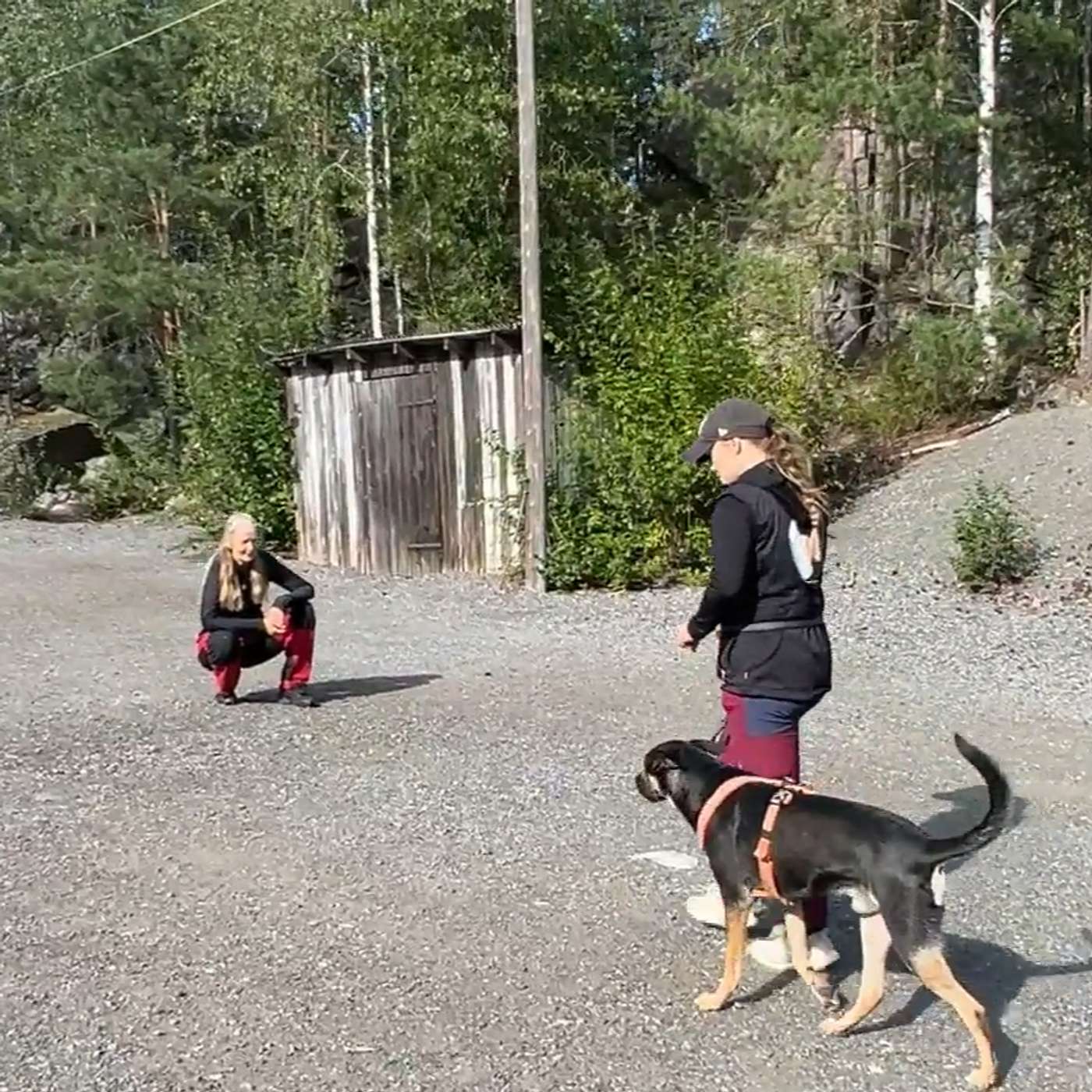 38 - Motbetinging – når følelsen endrer seg, ikke bare adferden 38 - Motbetinging – når følelsen endrer seg, ikke bare adferden