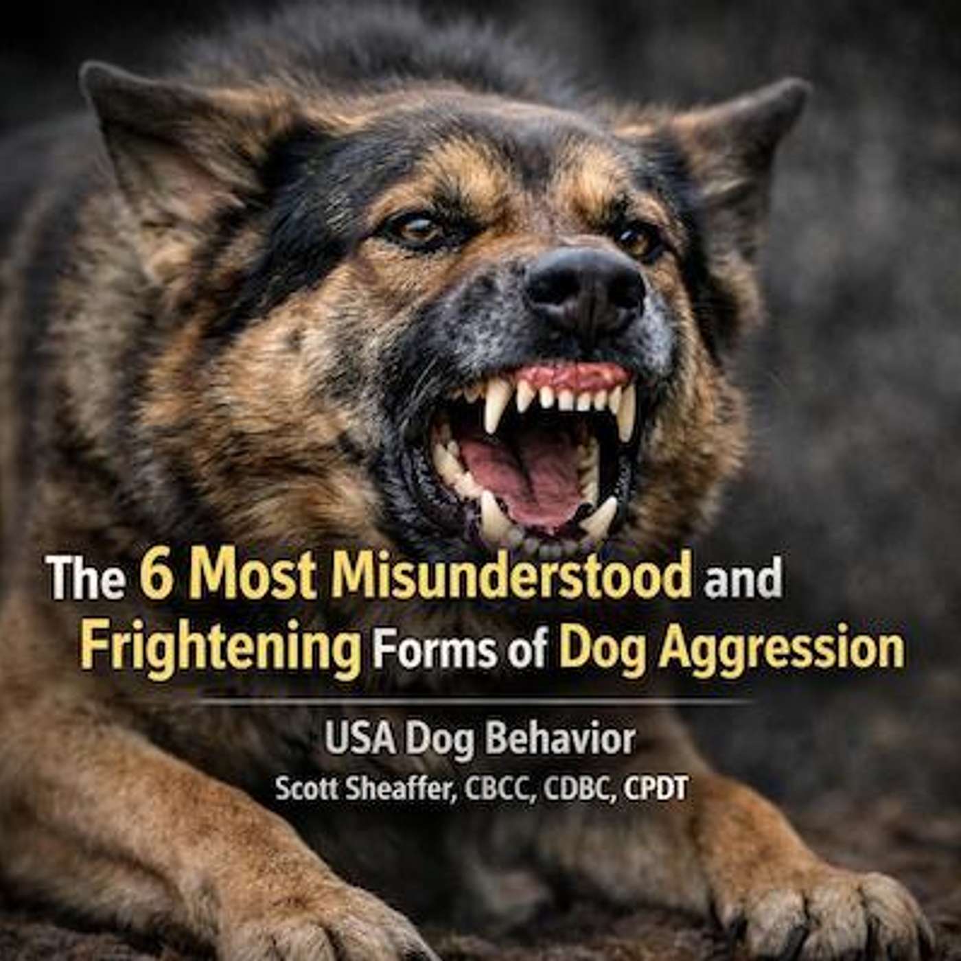 USA Dog Behavior Podcast