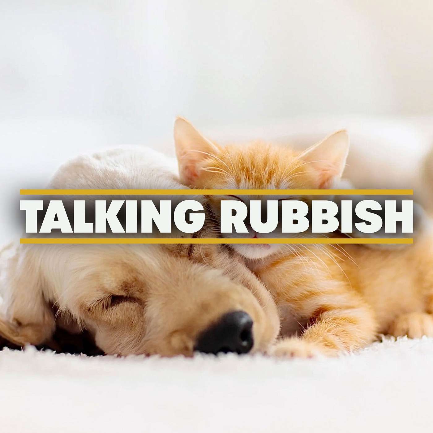37. Eco-pets - reducing your pet’s carbon pawprint