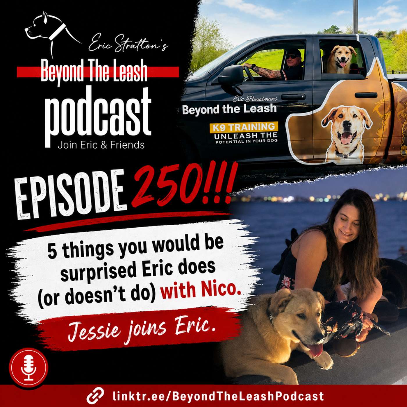 Episode 250: 5 things you would be surprised Eric does (or doesn't do) with Nico episode artwork