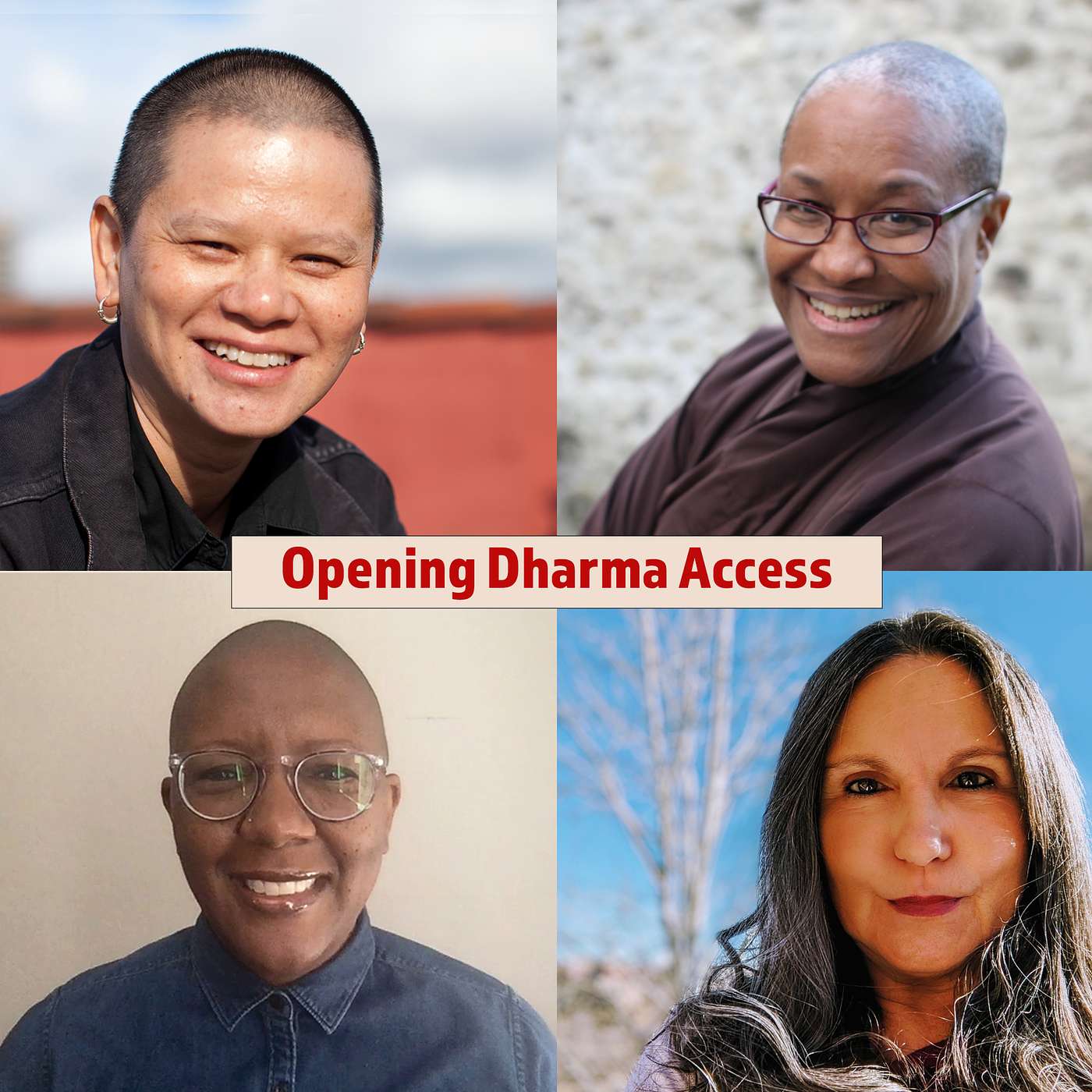 Opening Dharma Access: Listening to BIPOC Teachers & Practitioners
