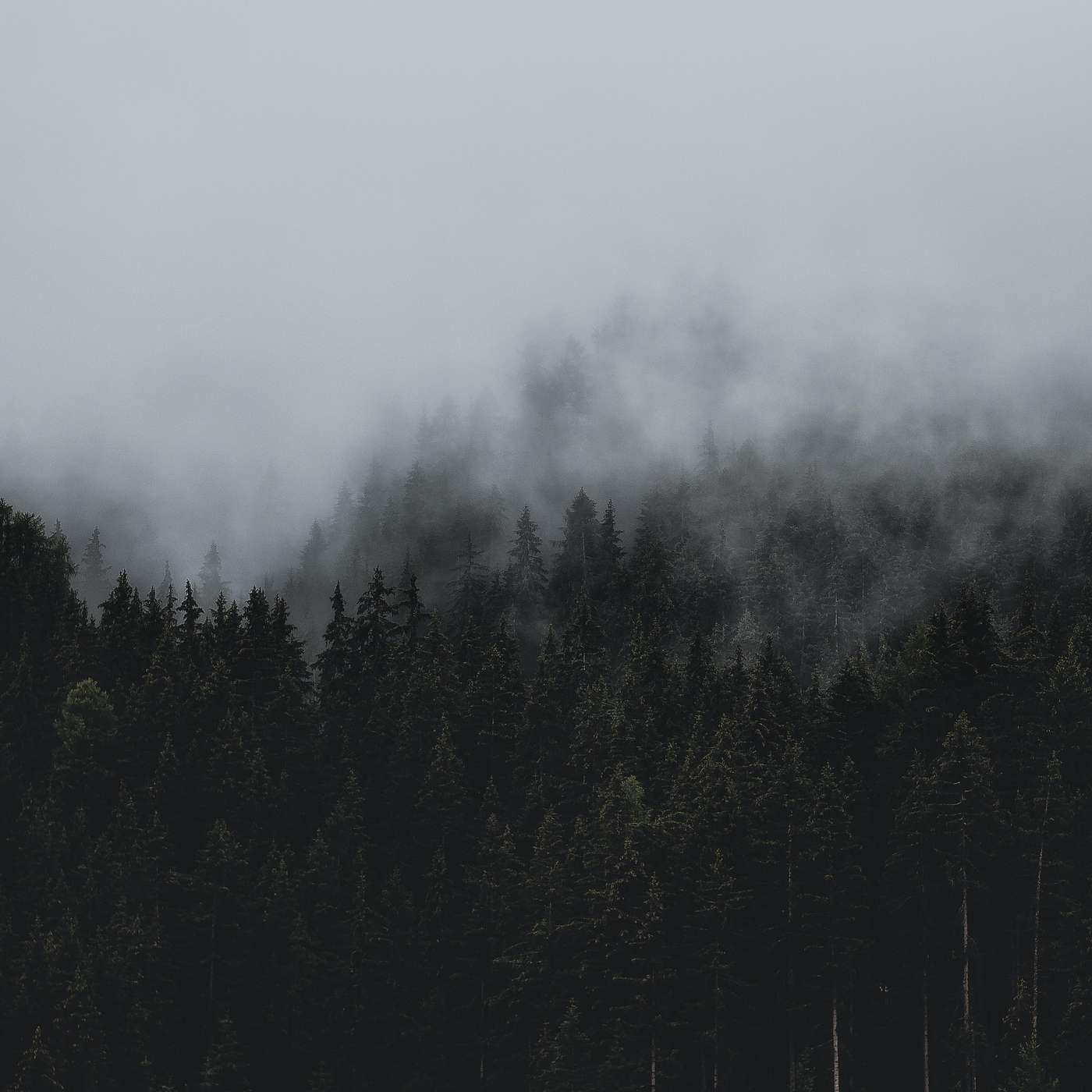 Level B S01E17 Im Nebel