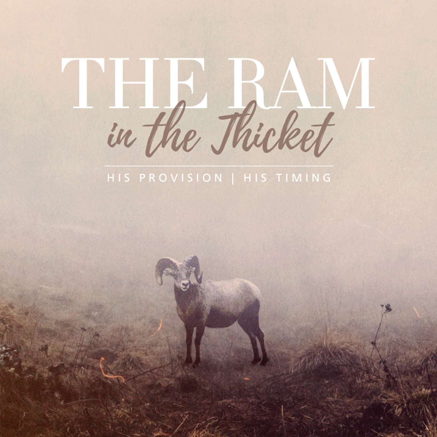 The Ram in the Thicket