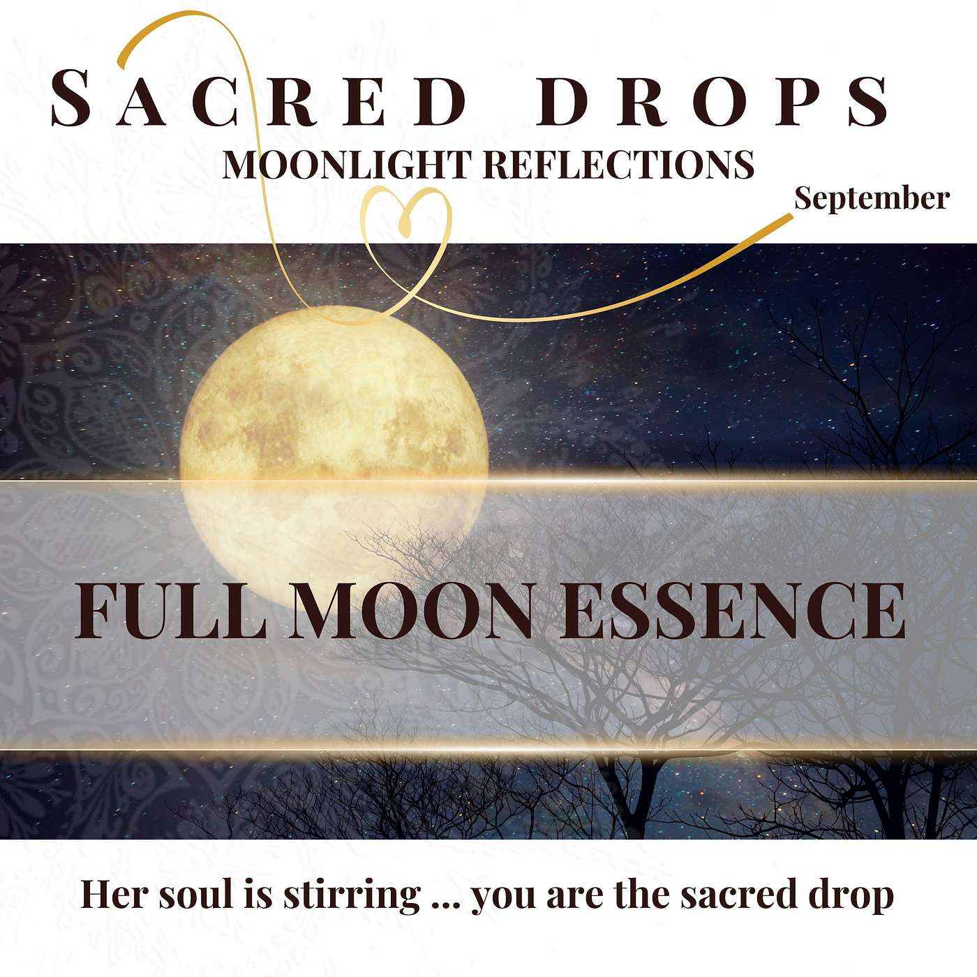 Sacred Full Moon Essence