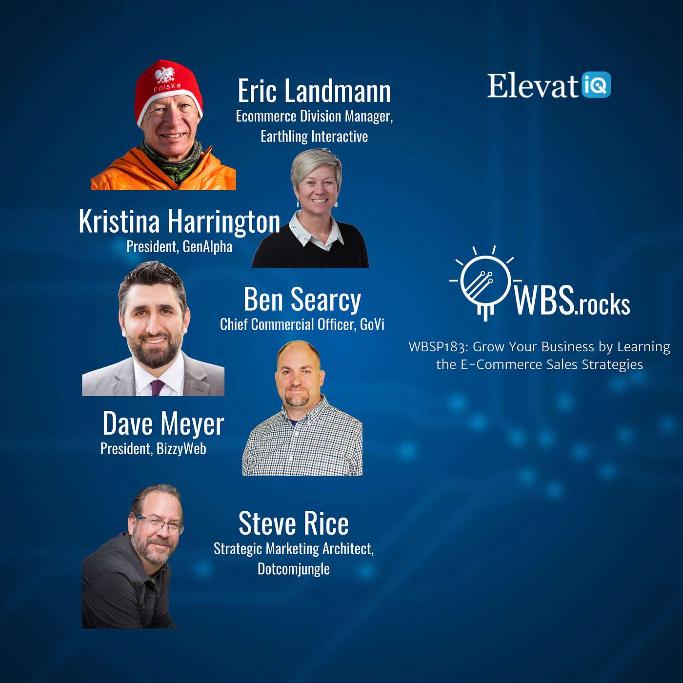 WBSP183: Grow Your Business by Learning the E-Commerce Sales Strategies, a Live Interview w/ a Panel of Experts
