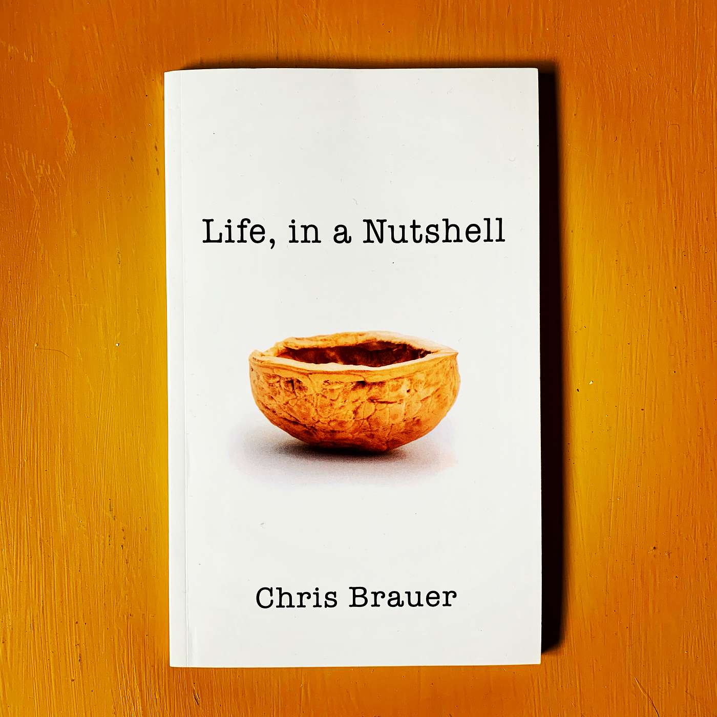 Life, in a Nutshell