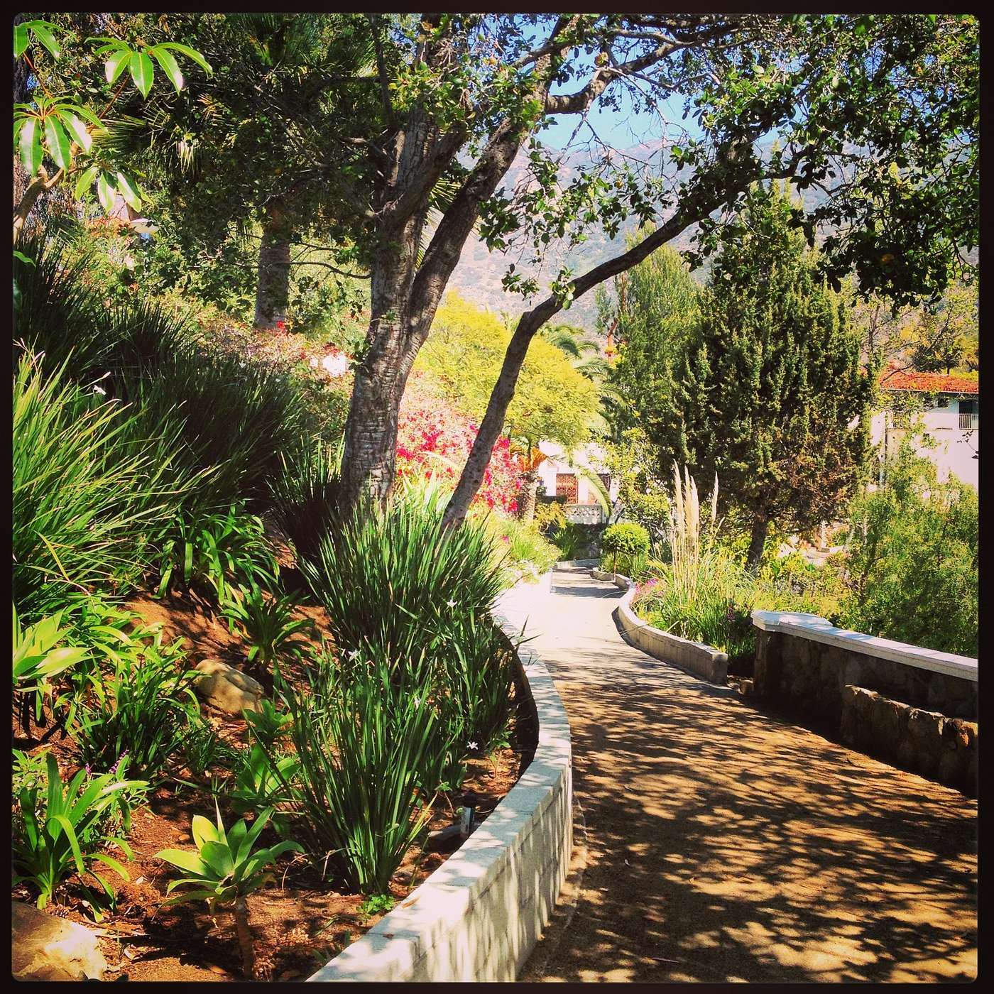 A Guided Walk With Jesus On The Road To Emmaus