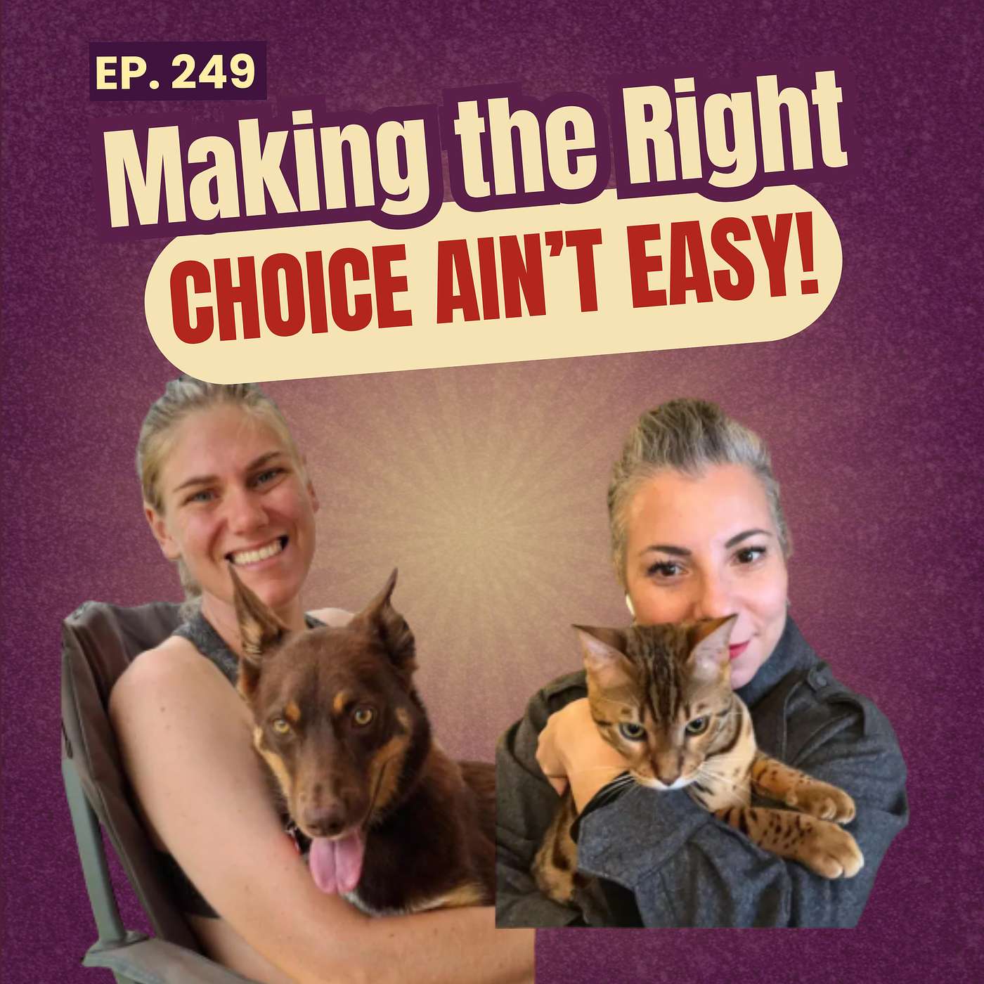 249: Long version - Why We’re Pausing the Podcast (PTSD, Burnout & Being Real) episode artwork