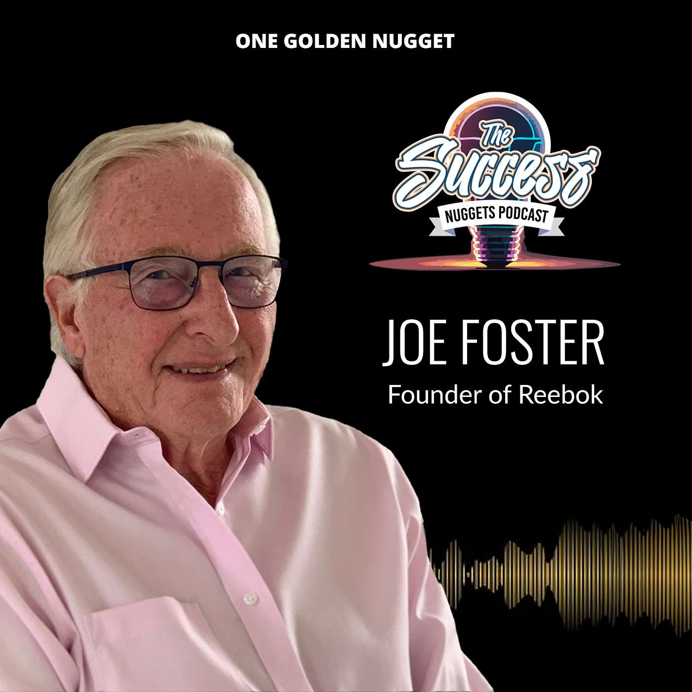 The Success Nuggets