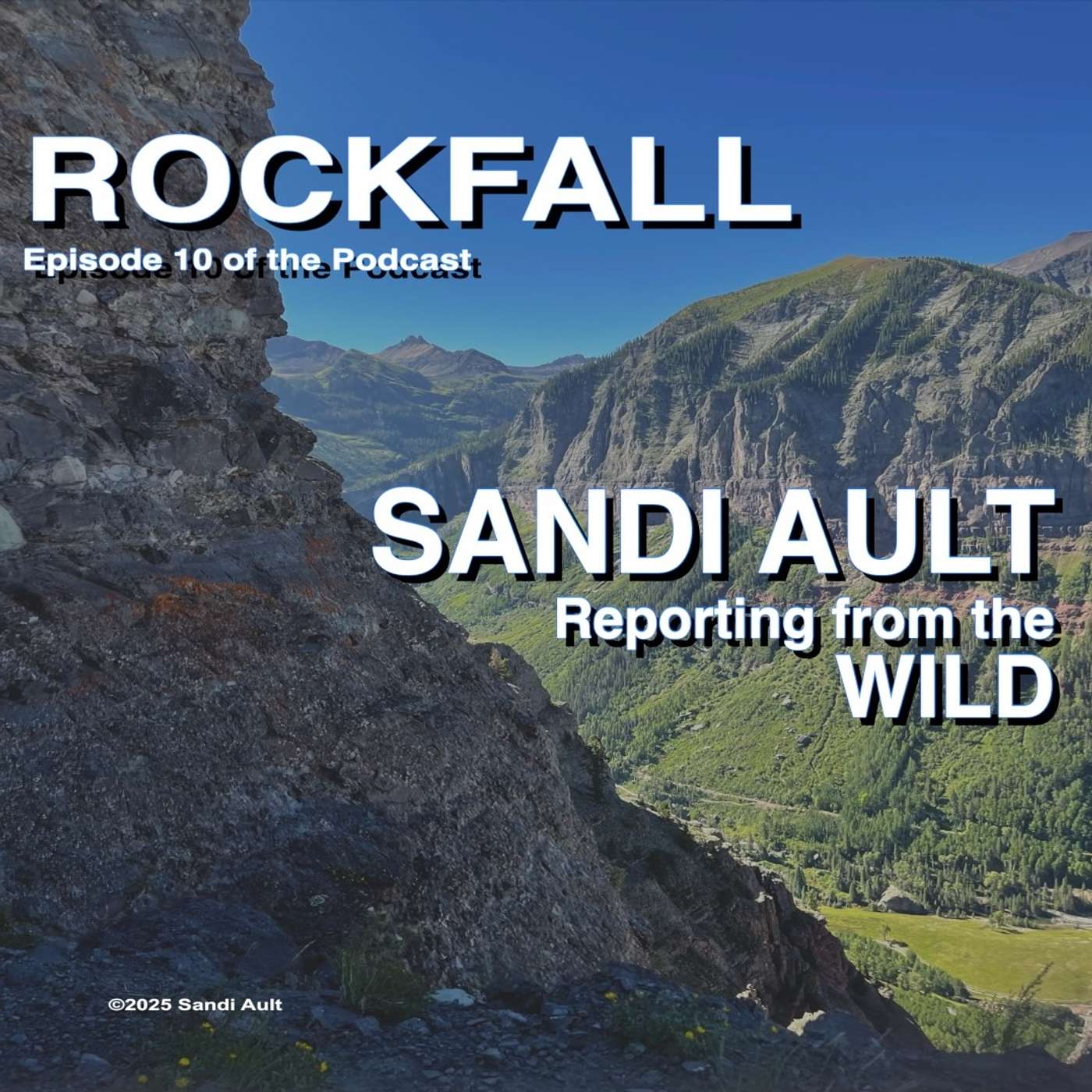 SANDI AULT—Reporting from the WILD