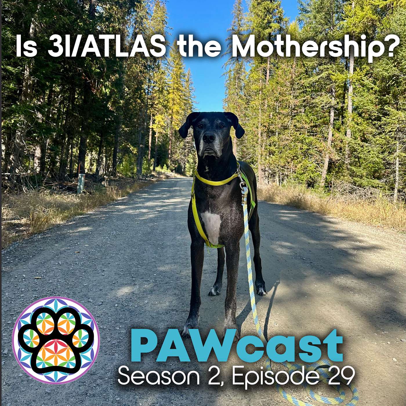 29: Is 3I/ATLAS the Mothership? episode artwork