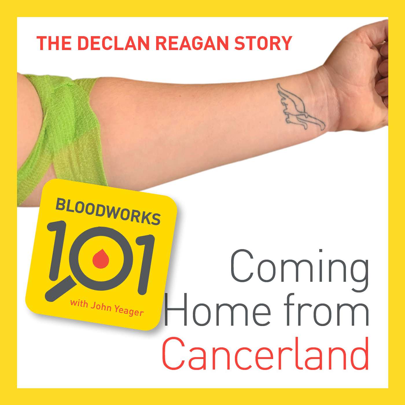 "Coming Home from Cancerland" - The Declan & Lauren Reagan Story (S2 E15) episode artwork