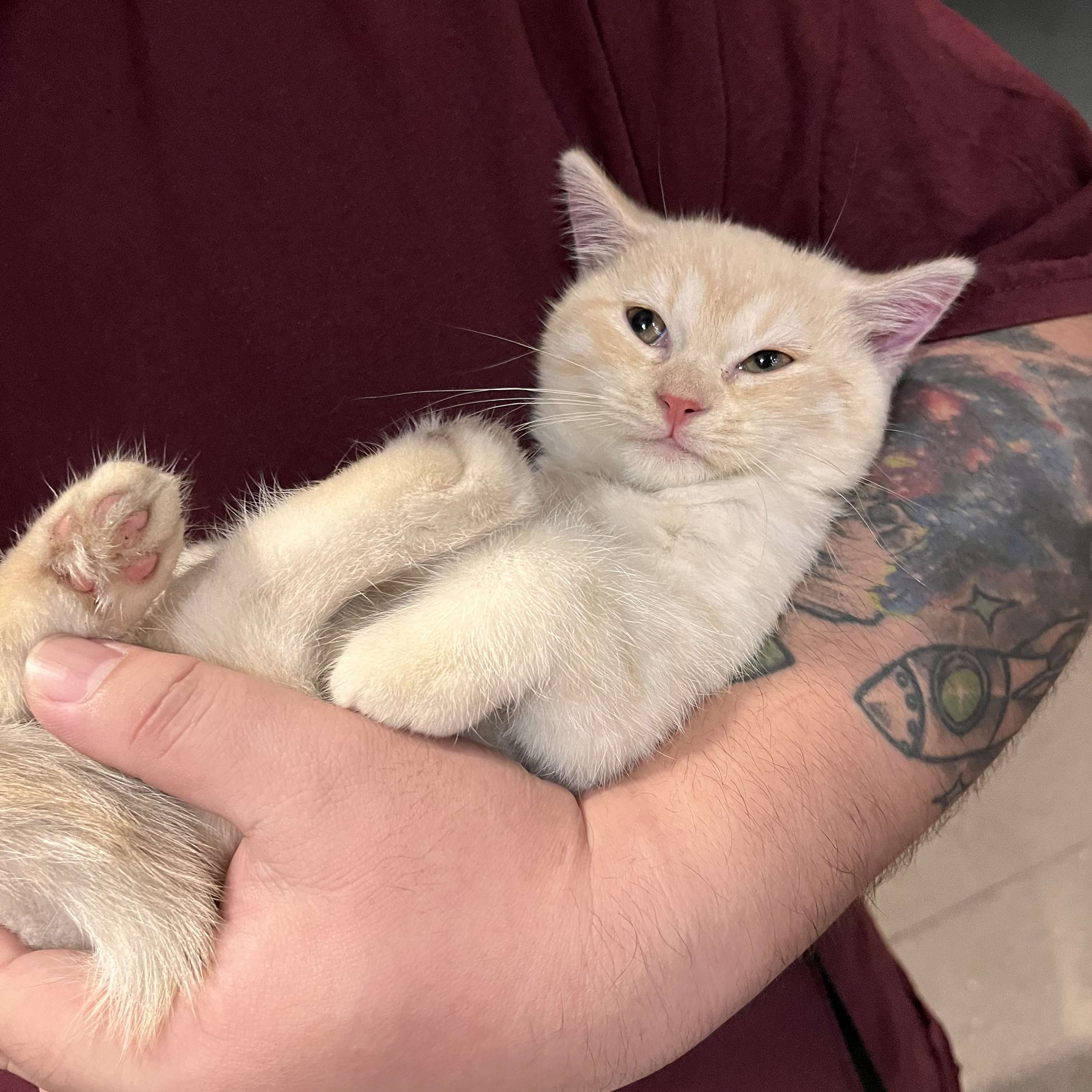 Jade's Podcast cover art