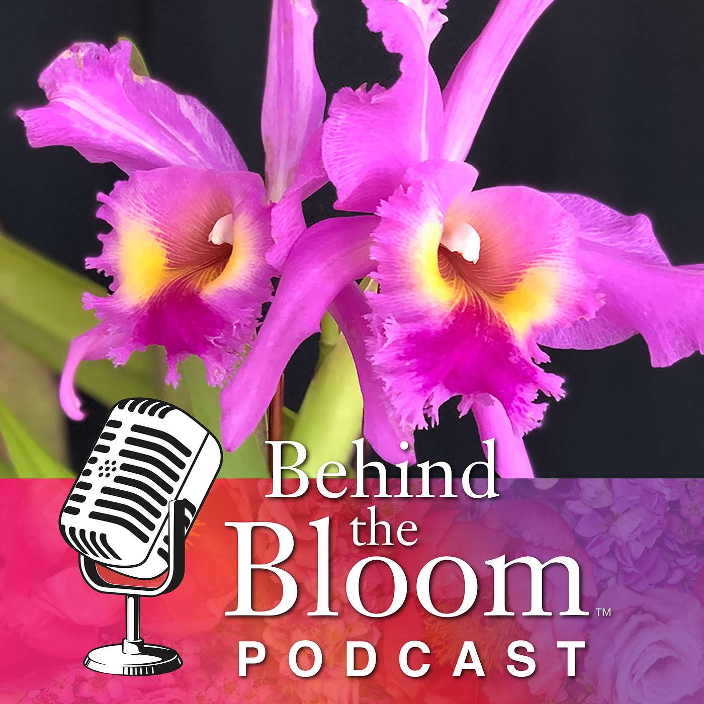 Episode 32 - The Orchid Show at the Chicago Botanic Garden