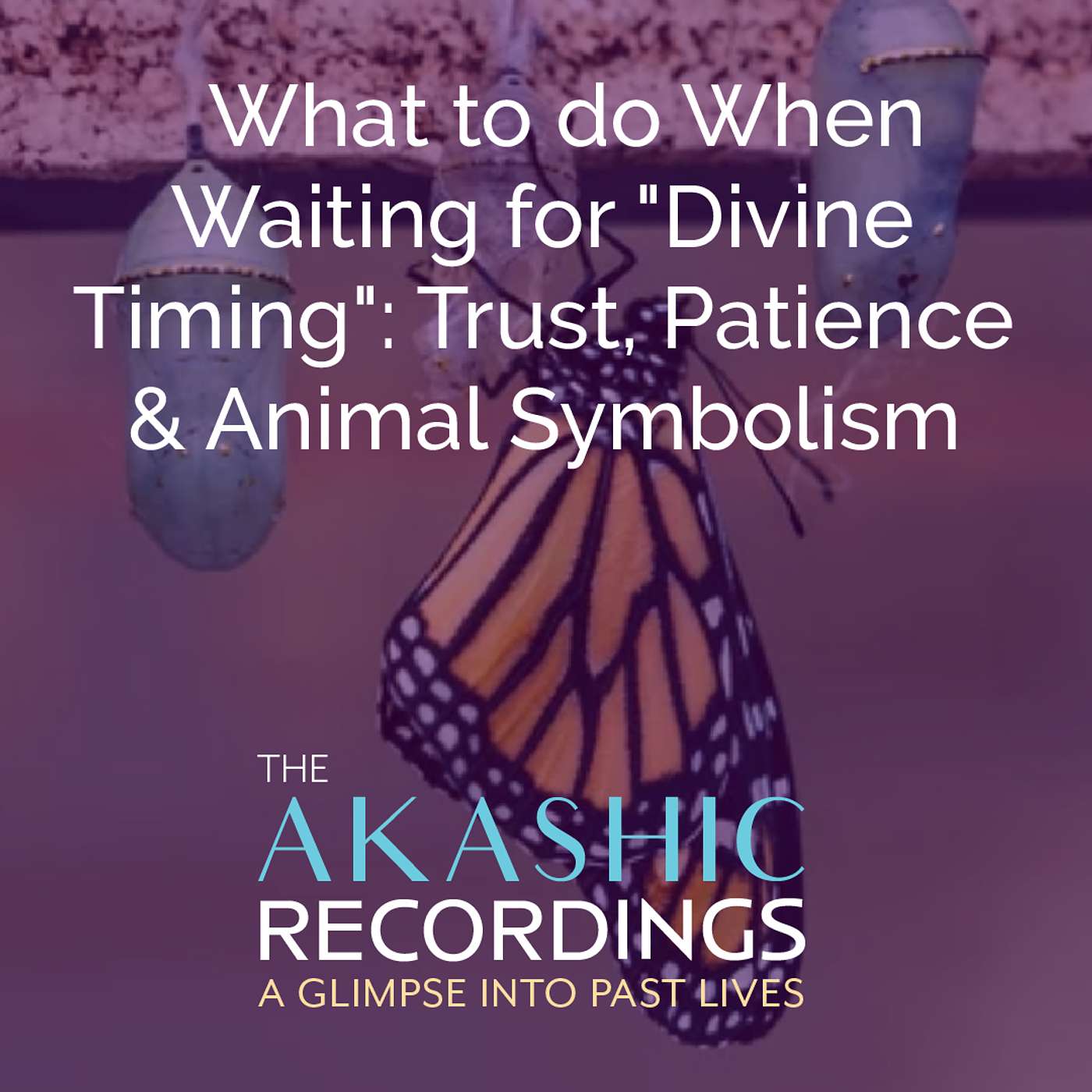 AR33: What to do When Waiting for 