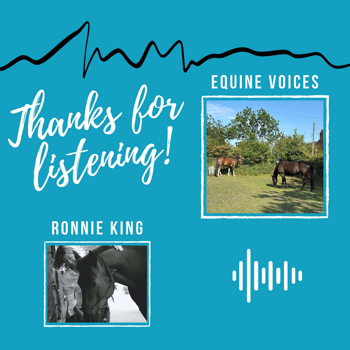 Equine Voices Podcast