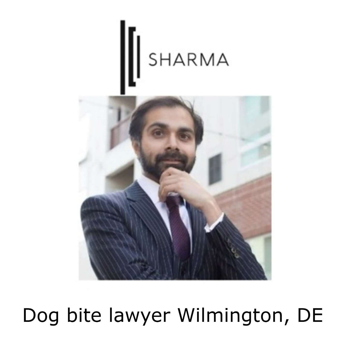 Dog bite lawyer Wilmington, DE episode artwork