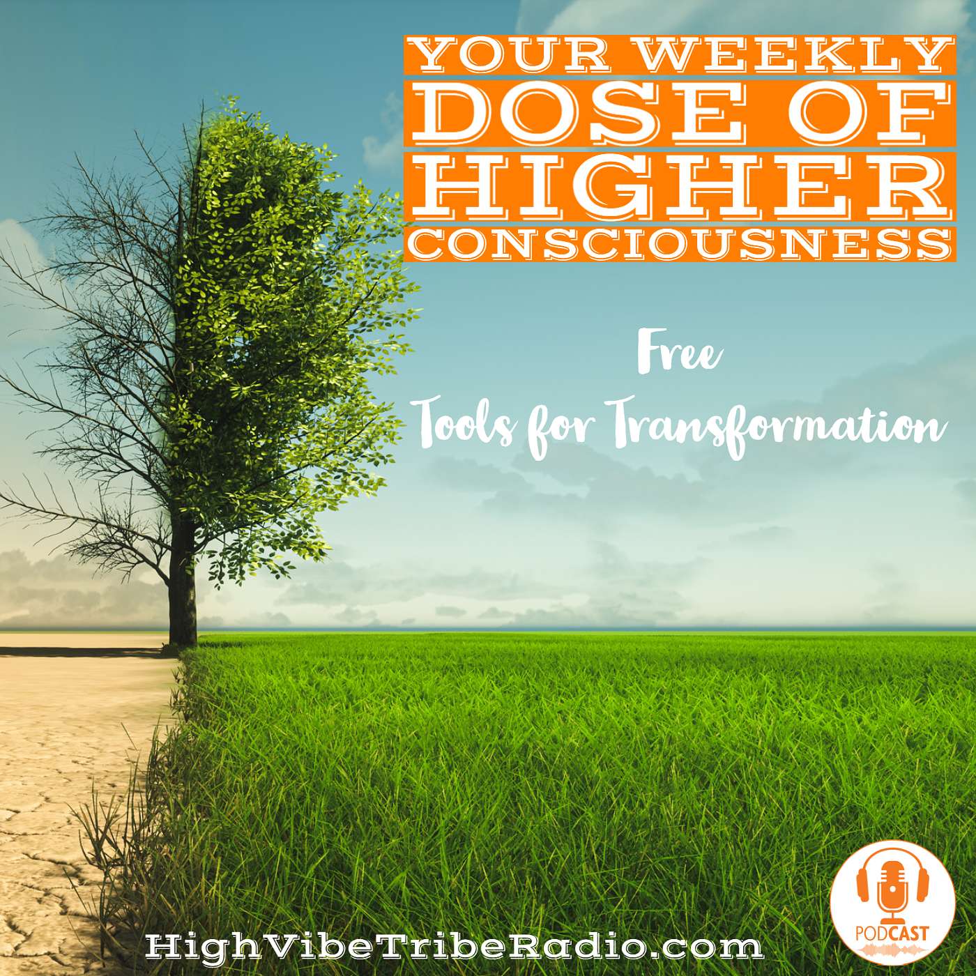 Unlock Healing: The Science & Proven Power of EFT with Dawson Church- Today's Tool for Transformation