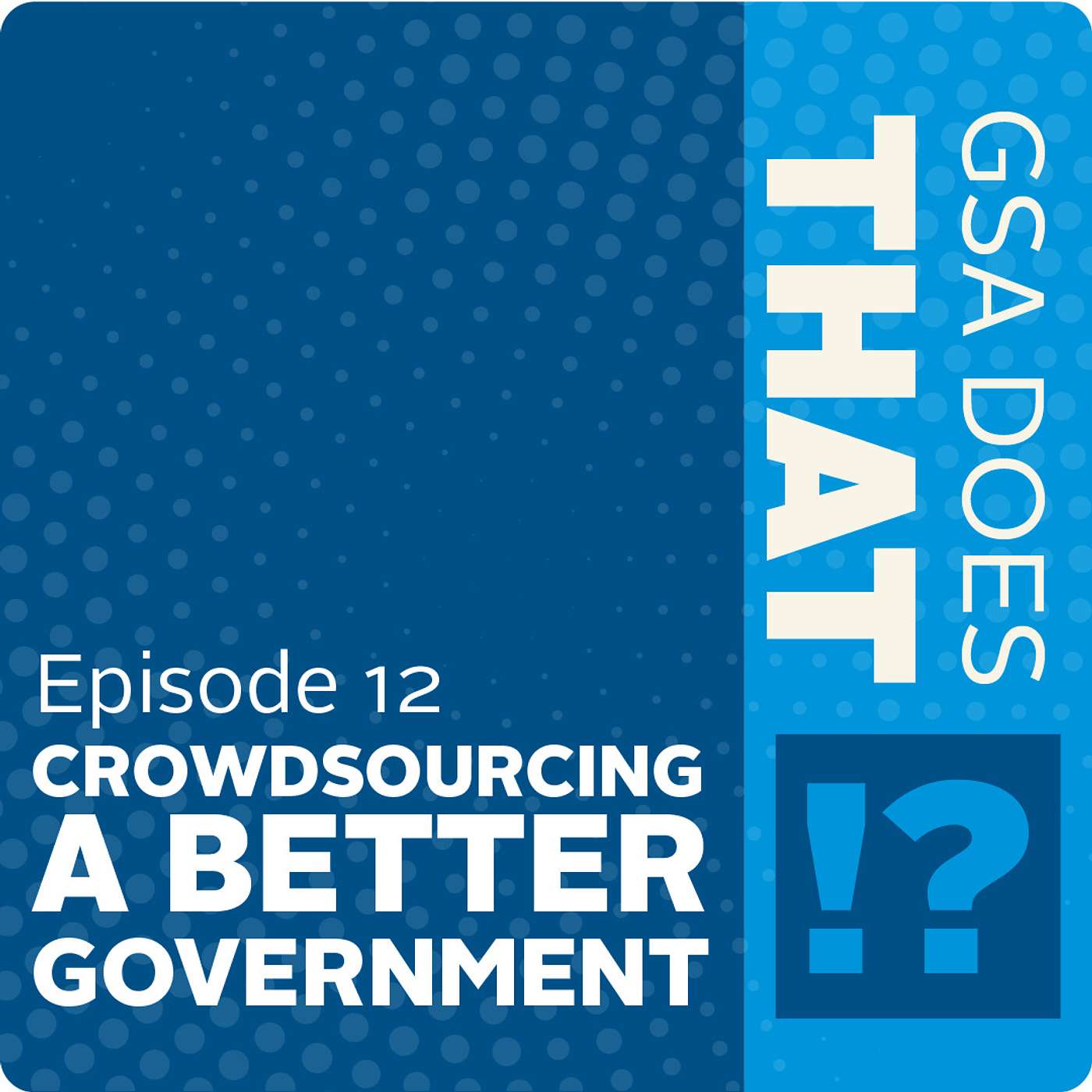 Crowdsourcing a Better Government